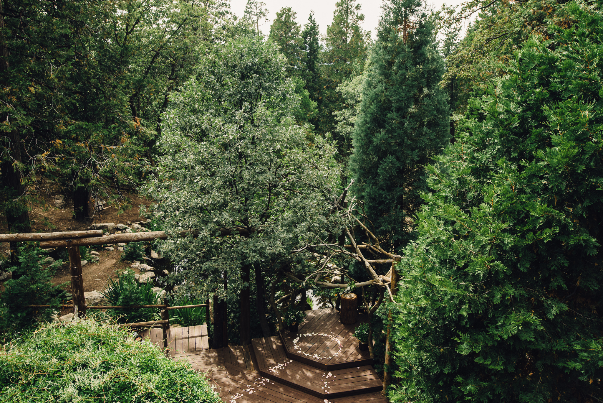 ©Isaiah & Taylor Photography - Pine Rose Cabin - Lake Arrowhead - Los Angeles Wedding Photographer-035.jpg