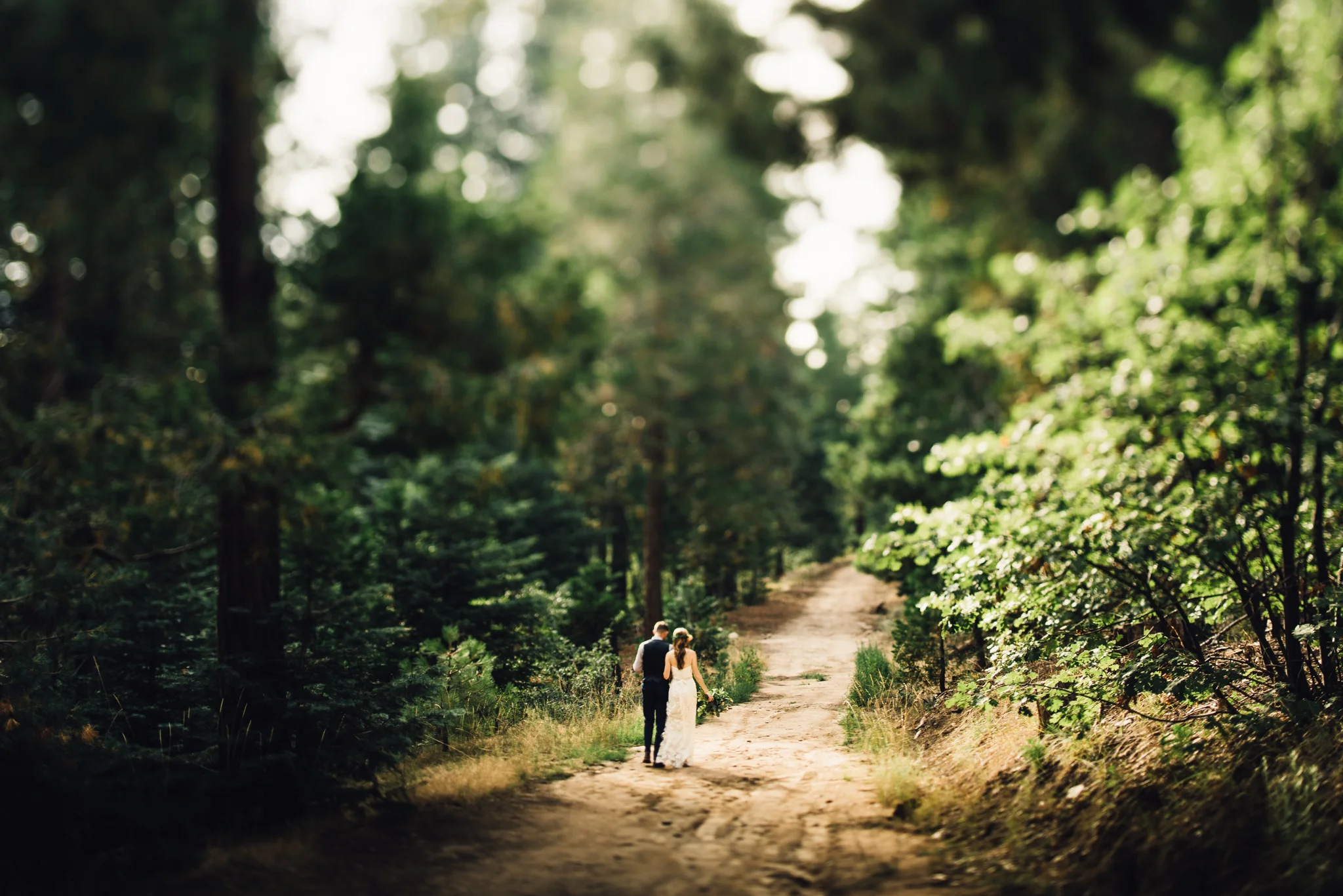 ©Isaiah & Taylor Photography - Pine Rose Cabin - Lake Arrowhead - Los Angeles Wedding Photographer-063.jpg