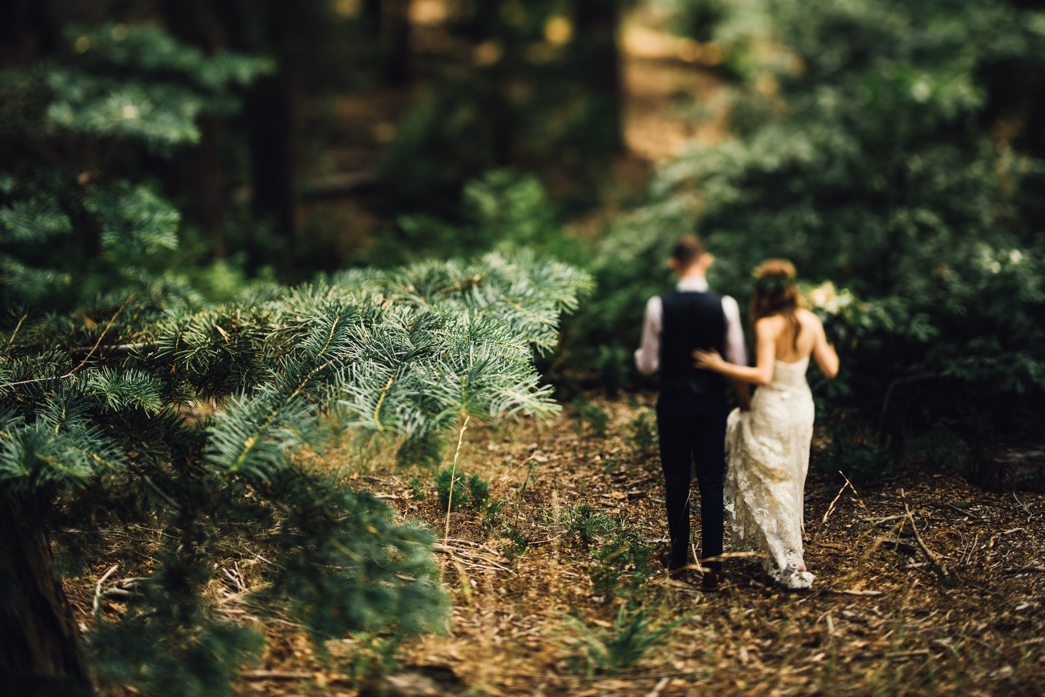 ©Isaiah & Taylor Photography - Pine Rose Cabin - Lake Arrowhead - Los Angeles Wedding Photographer-068.jpg