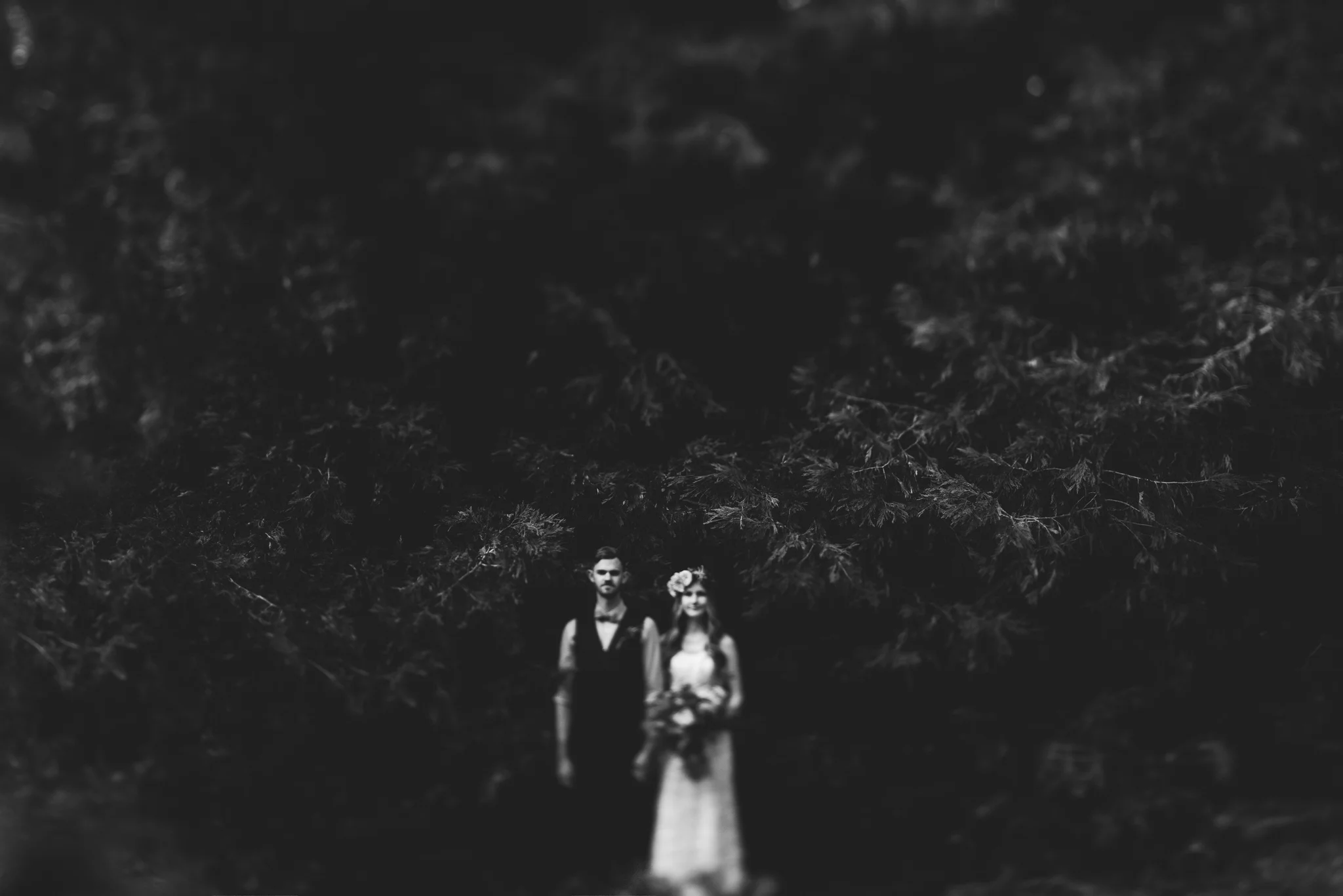 ©Isaiah & Taylor Photography - Pine Rose Cabin - Lake Arrowhead - Los Angeles Wedding Photographer-086.jpg