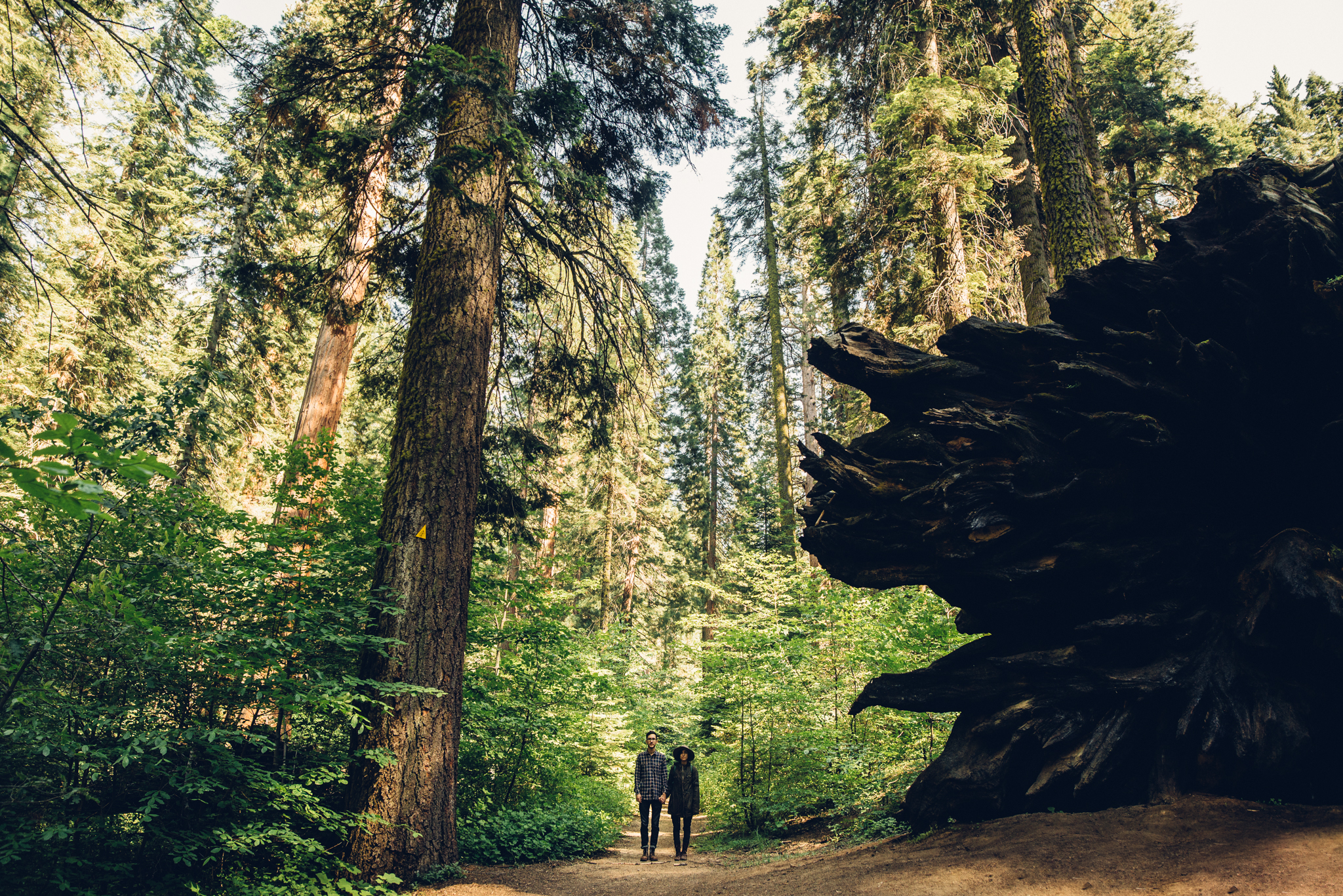 ©Isaiah & Taylor Photography - Los Angeles Destination Wedding Photographer - Yosemite National Park Hiking Adventure Engagement - Glacier Point Sunrise-039.jpg