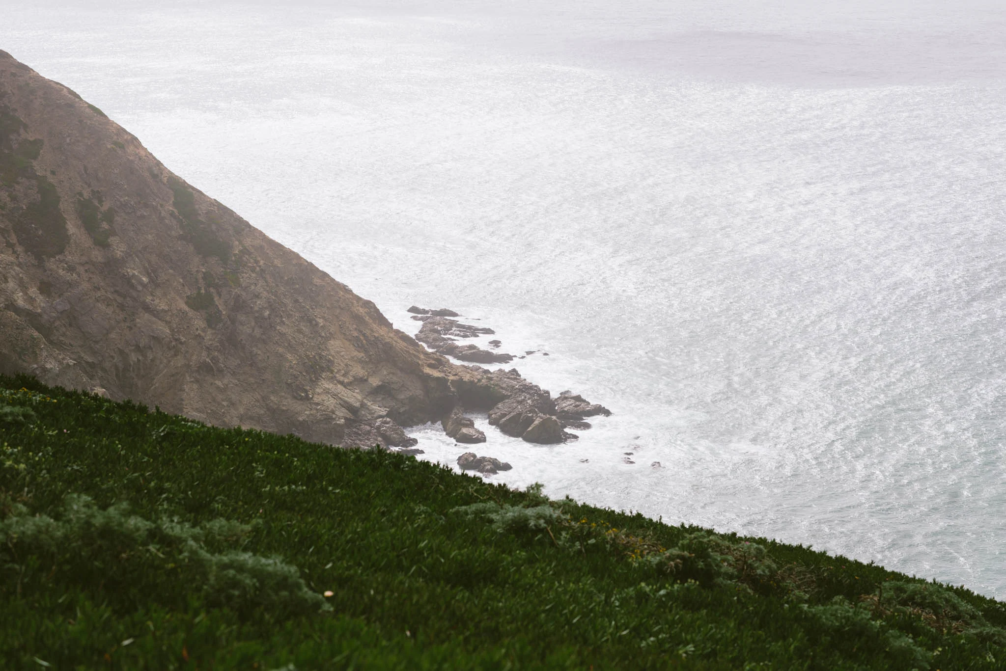 ©The Ryans Photography - Point Reyes, California-39.jpg