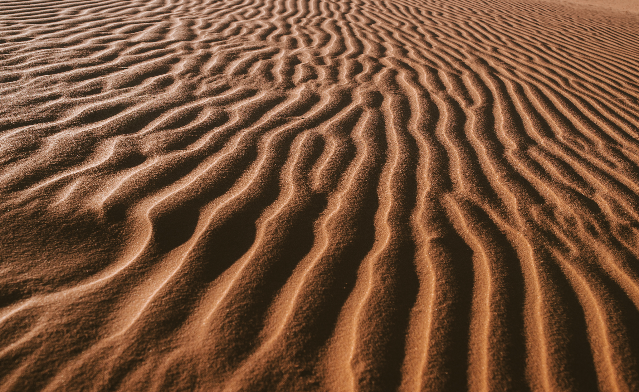 ©Isaiah & Taylor Photography - Los Angeles Destination Photographer - Lifestyle Commercial Corral Sand Dunes-10.jpg