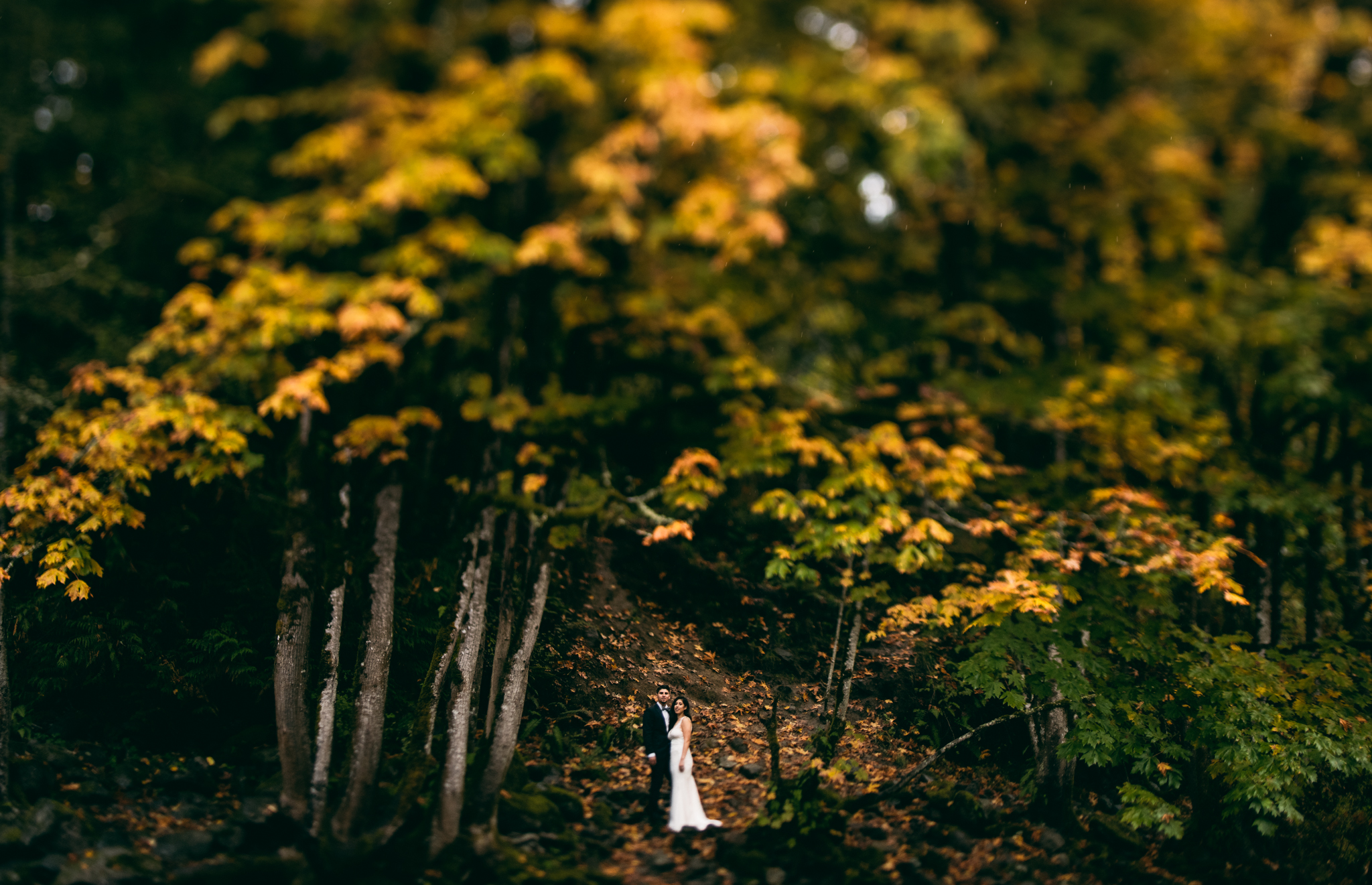 ©Isaiah & Taylor Photography - Los Angeles Wedding - Snoqualmie, Washington Honeymoon-023.jpg