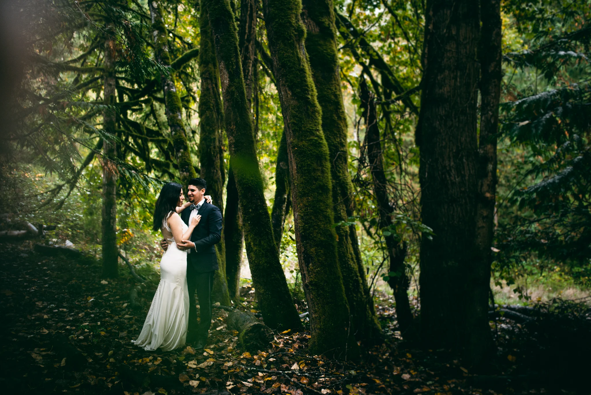 Rainy Forest Honeymoon, Snoqualmie, Washington