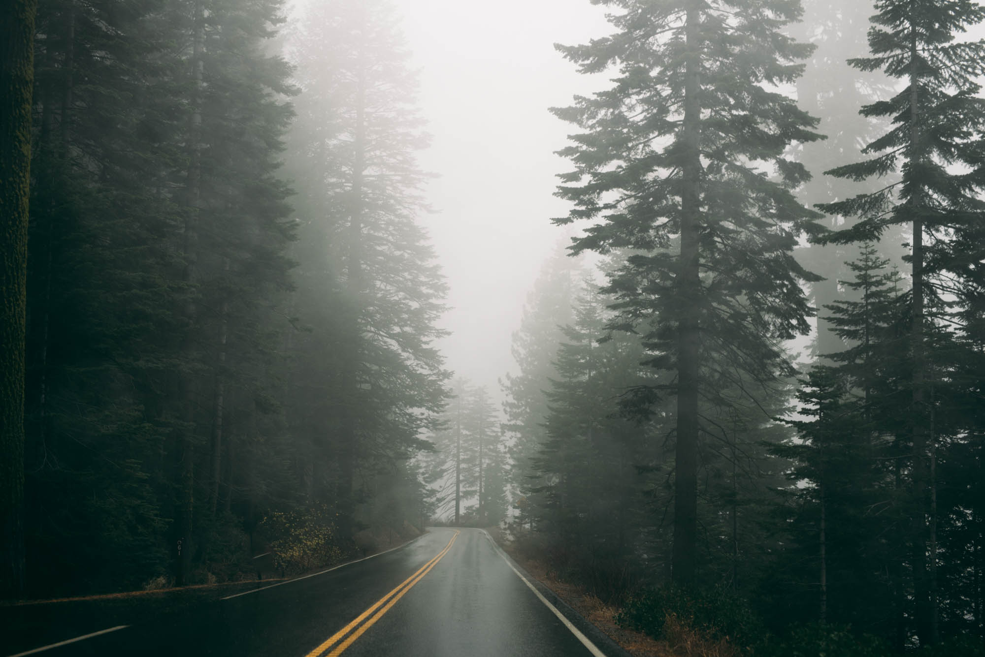 ©Isaiah & Taylor Photography - Stormy Cliffside Engagement, Yosemite California-1.jpg