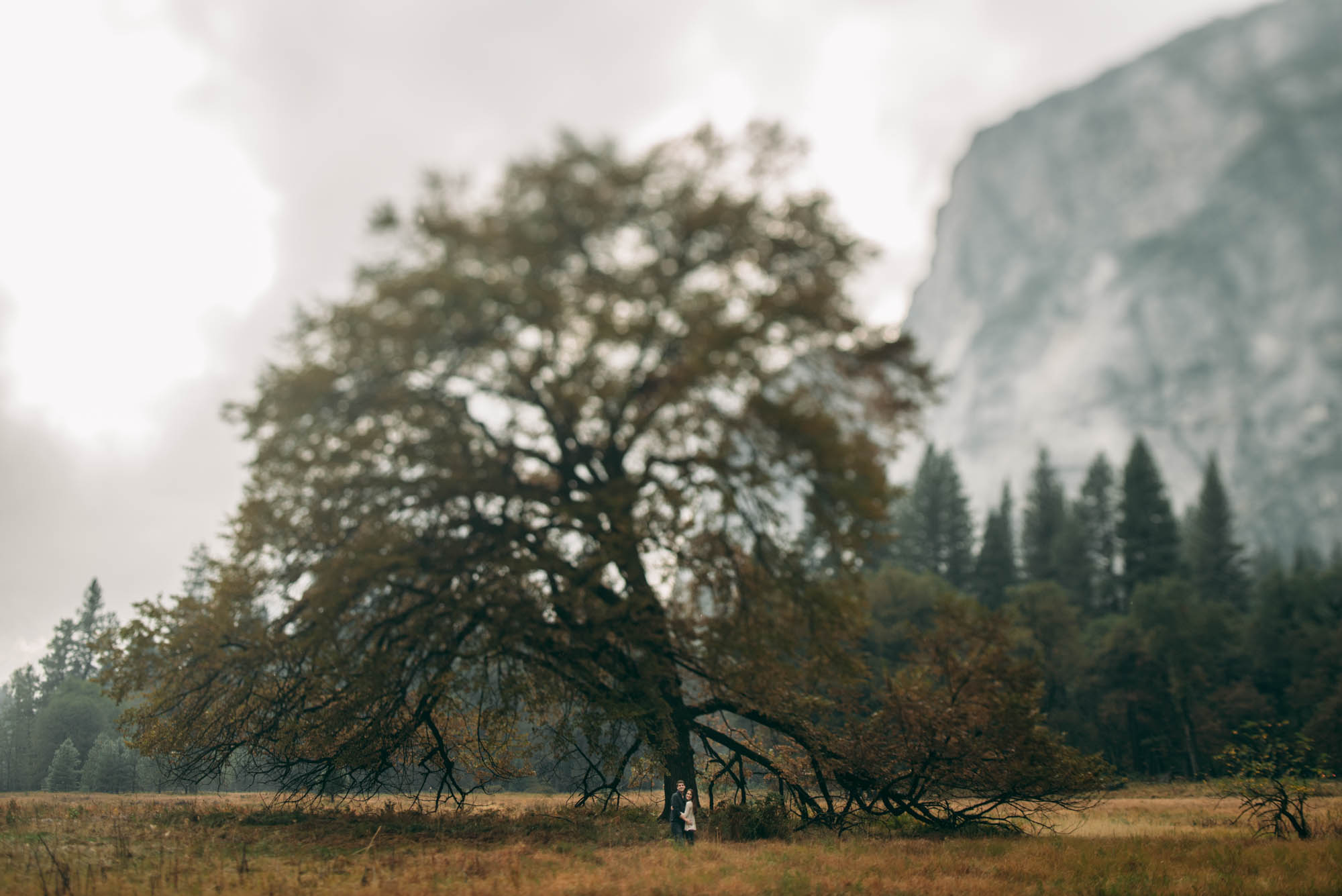 ©Isaiah & Taylor Photography - Stormy Cliffside Engagement, Yosemite California-10.jpg