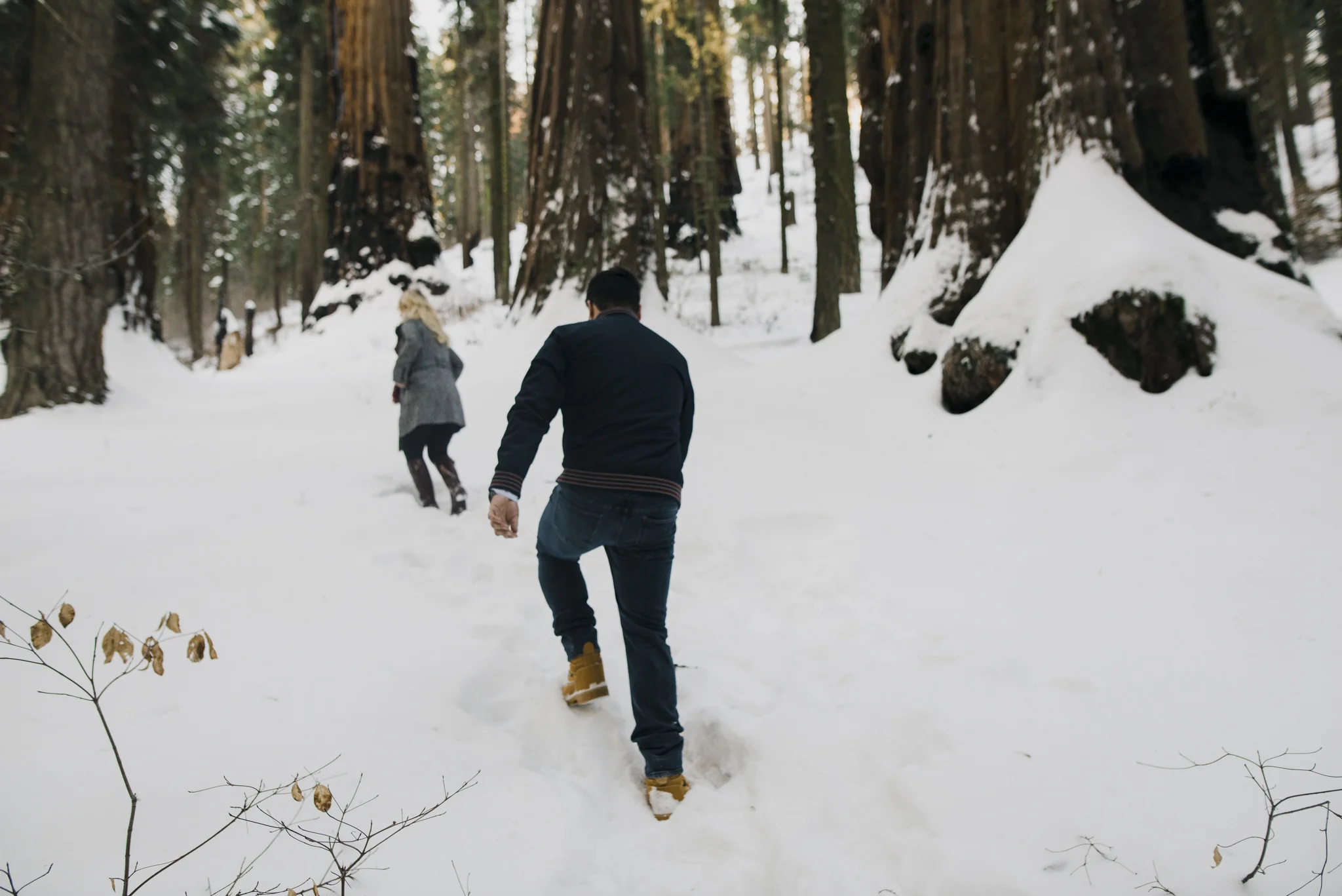 ©Isaiah-&-Taylor-Photography---George-&-Alyssa-Engagement---Sequoia-National-Park,-California-1.jpg