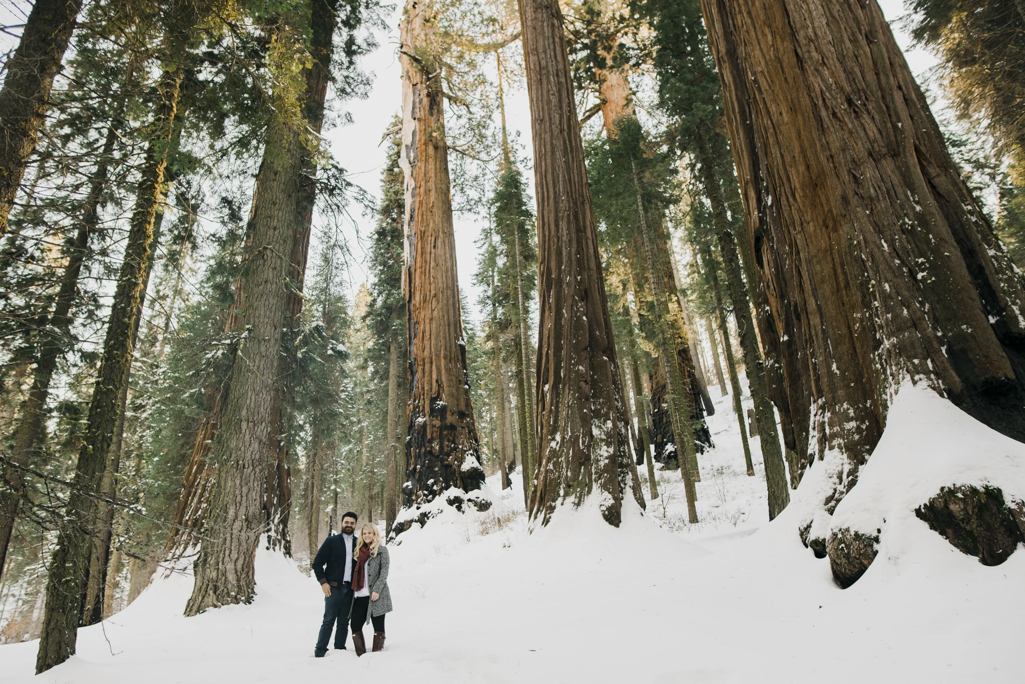 ©Isaiah-&-Taylor-Photography---George-&-Alyssa-Engagement---Sequoia-National-Park,-California-5.jpg