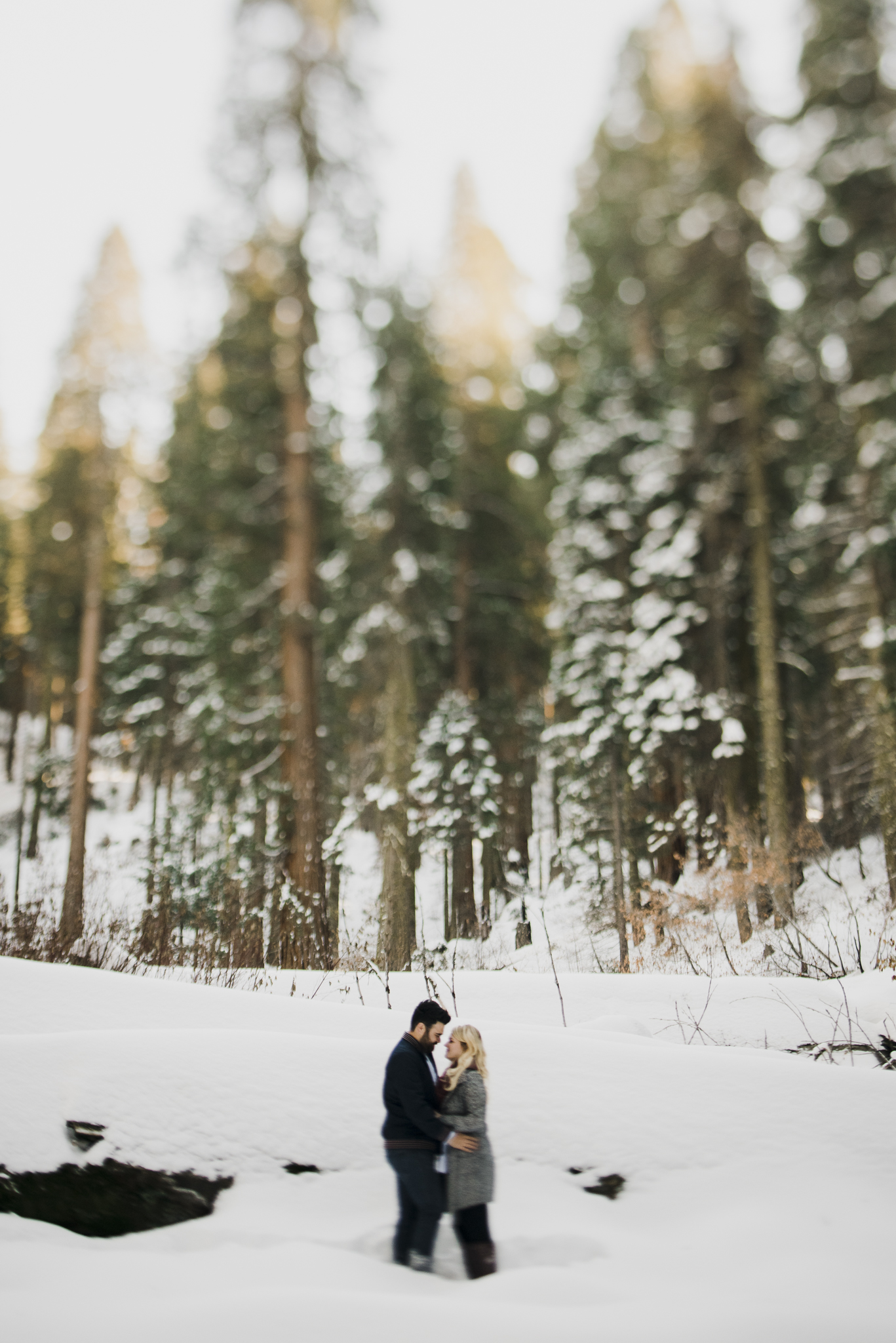 ©Isaiah-&-Taylor-Photography---George-&-Alyssa-Engagement---Sequoia-National-Park,-California-8.jpg