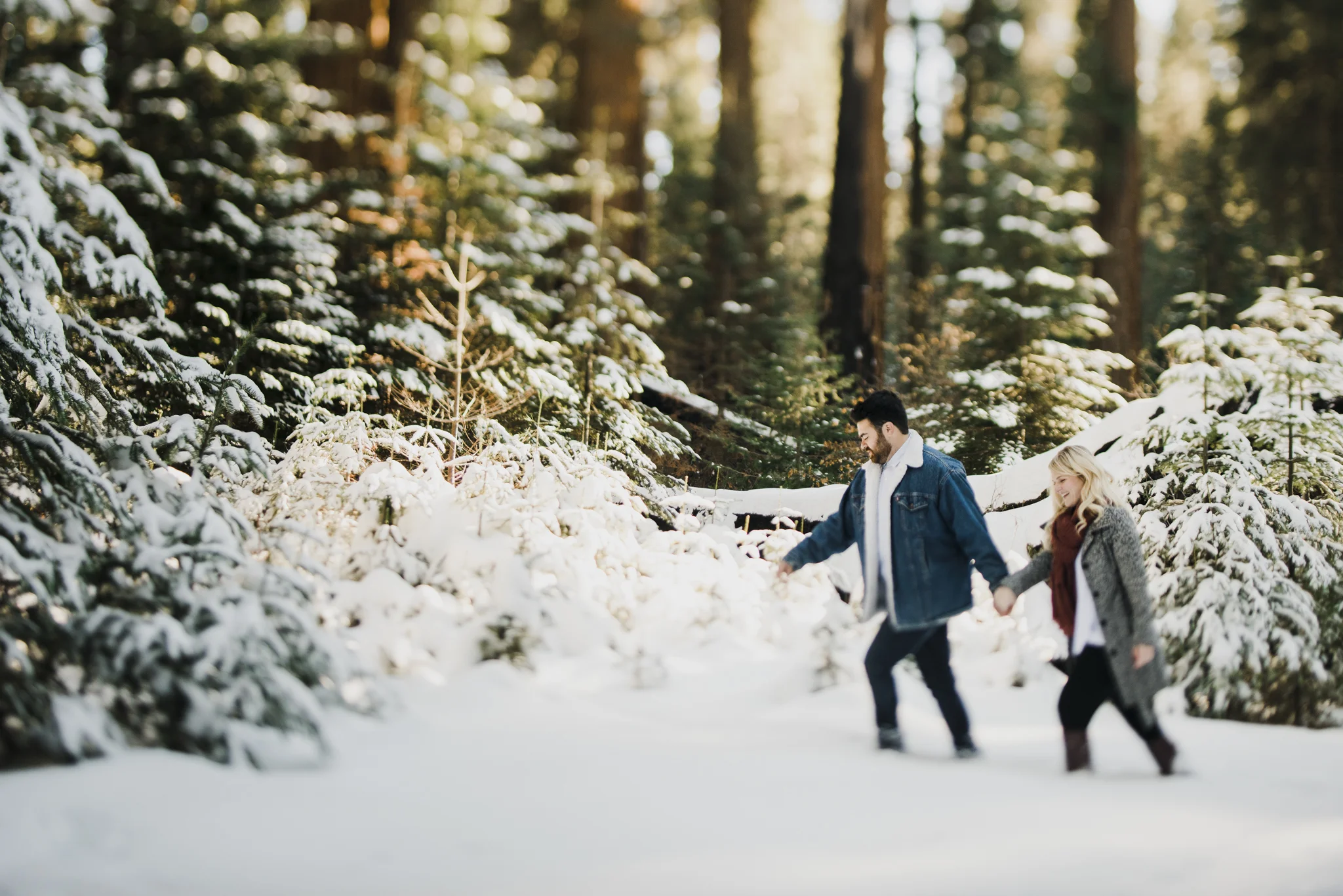 ©Isaiah-&-Taylor-Photography---George-&-Alyssa-Engagement---Sequoia-National-Park,-California-20.jpg