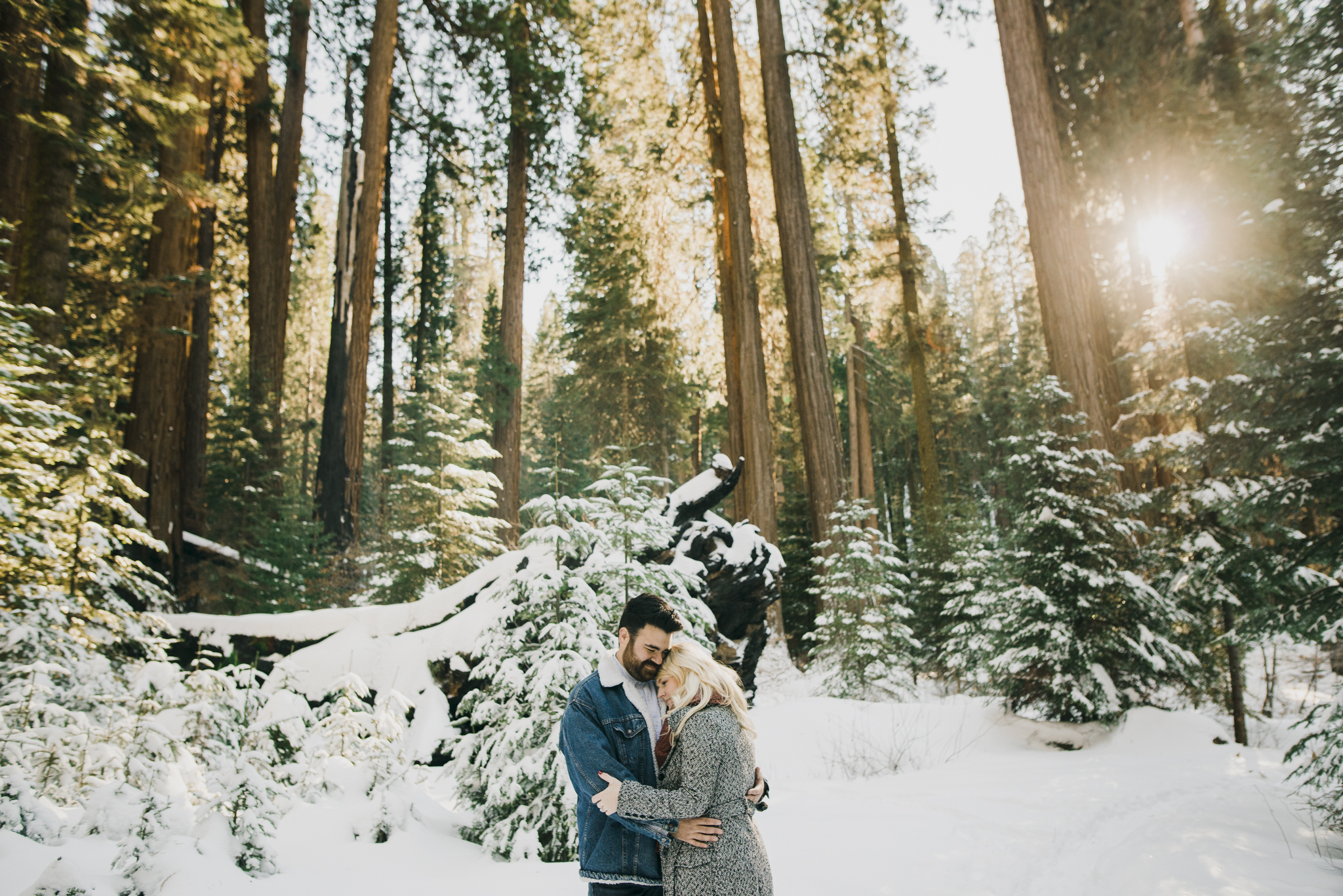 ©Isaiah-&-Taylor-Photography---George-&-Alyssa-Engagement---Sequoia-National-Park,-California-27.jpg