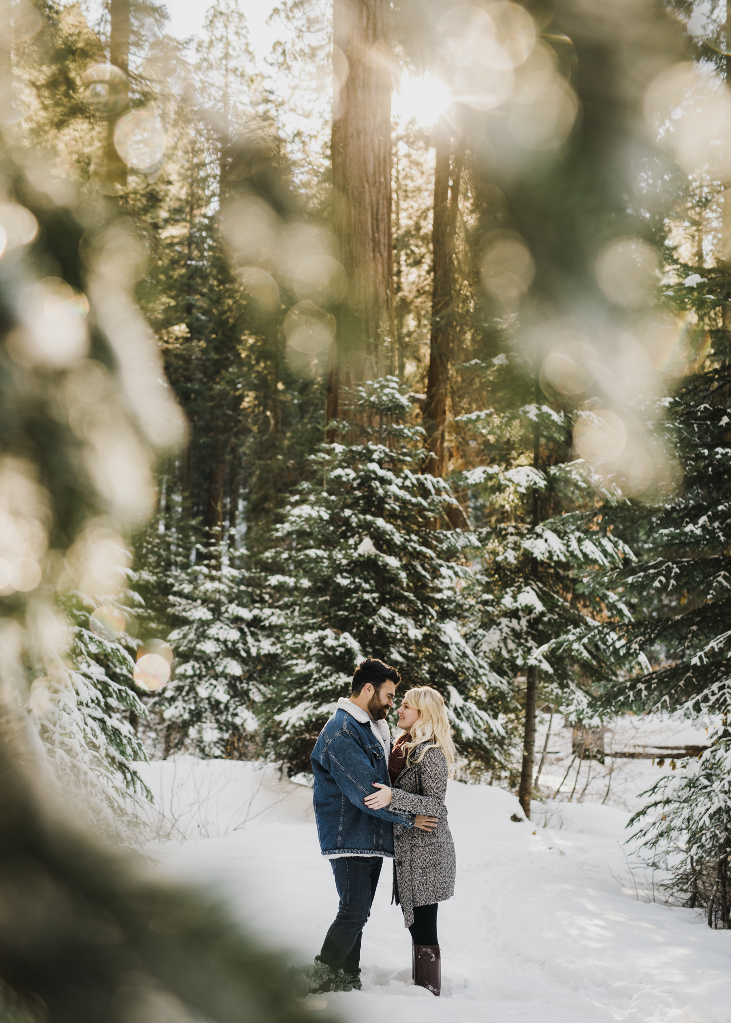 ©Isaiah-&-Taylor-Photography---George-&-Alyssa-Engagement---Sequoia-National-Park,-California-28.jpg
