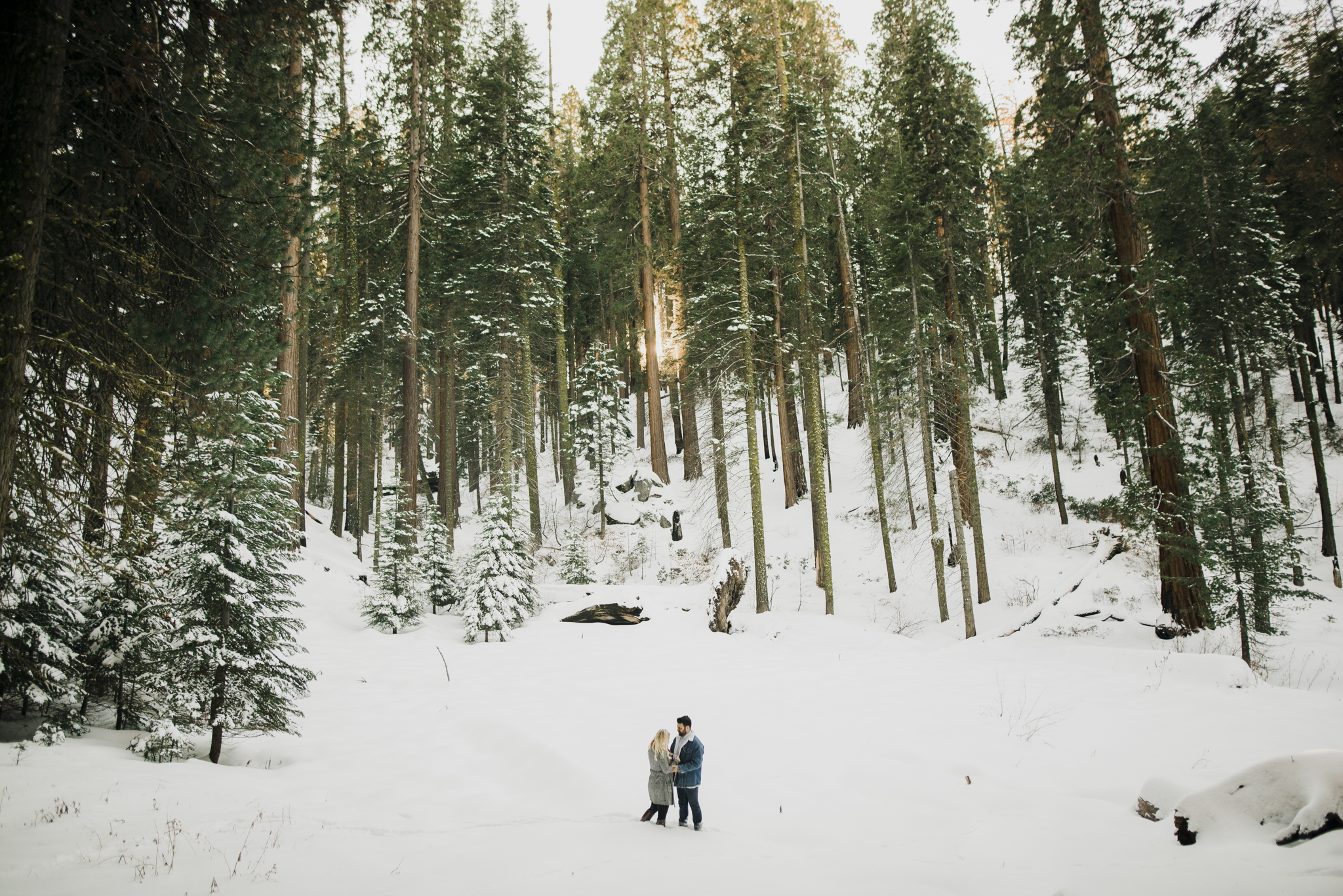 ©Isaiah-&-Taylor-Photography---George-&-Alyssa-Engagement---Sequoia-National-Park,-California-58.jpg