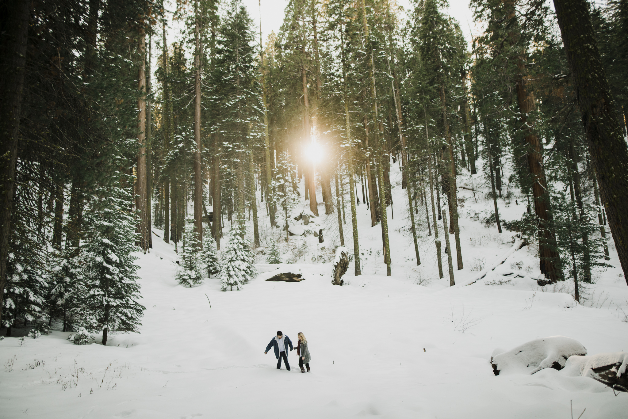 ©Isaiah-&-Taylor-Photography---George-&-Alyssa-Engagement---Sequoia-National-Park,-California-59.jpg