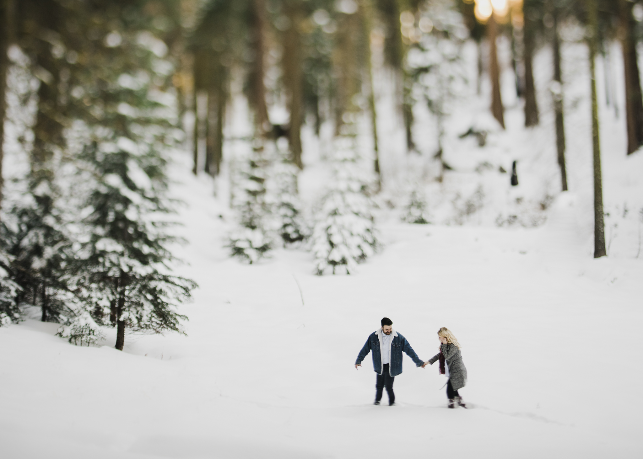 ©Isaiah-&-Taylor-Photography---George-&-Alyssa-Engagement---Sequoia-National-Park,-California-60.jpg