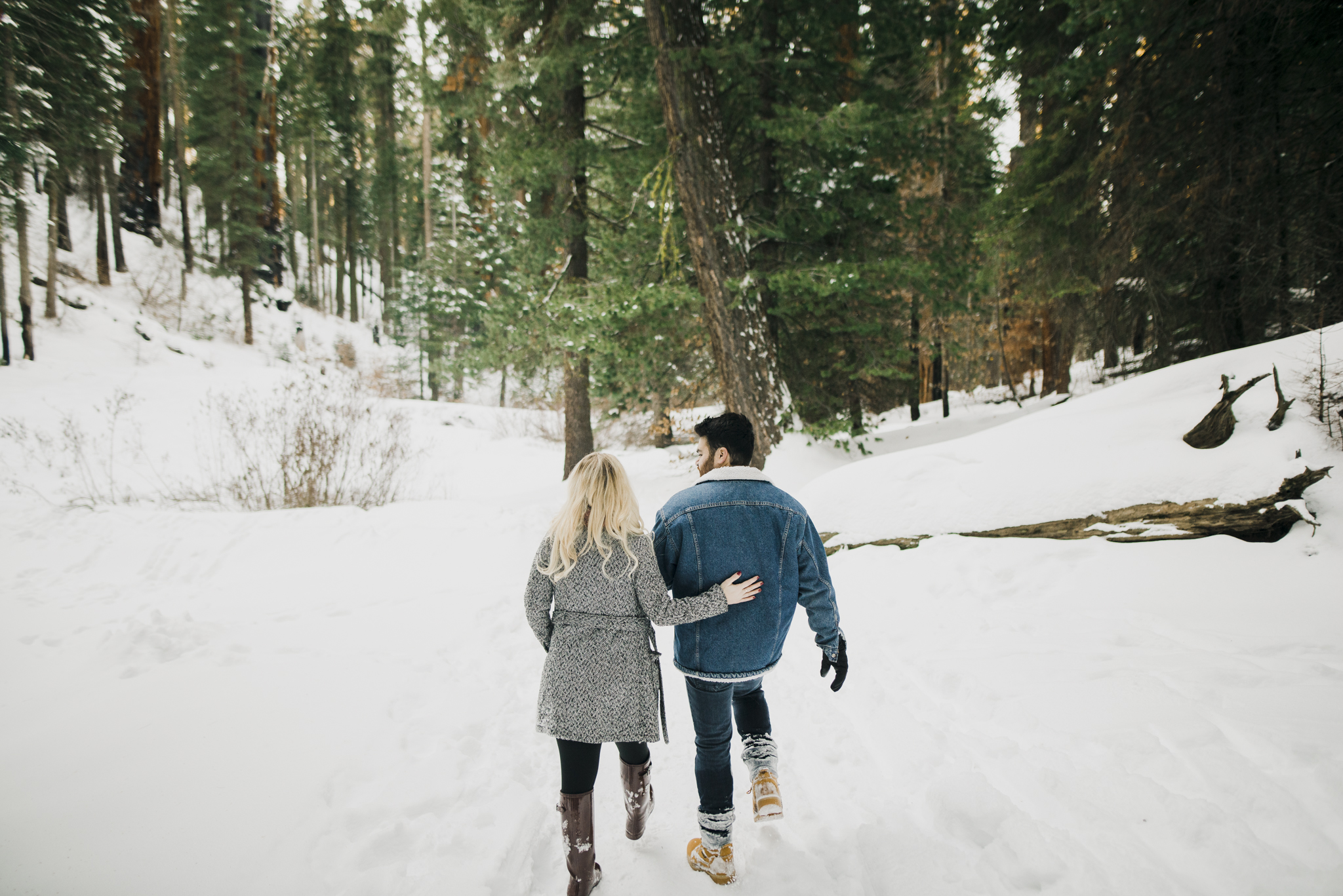 ©Isaiah-&-Taylor-Photography---George-&-Alyssa-Engagement---Sequoia-National-Park,-California-64.jpg