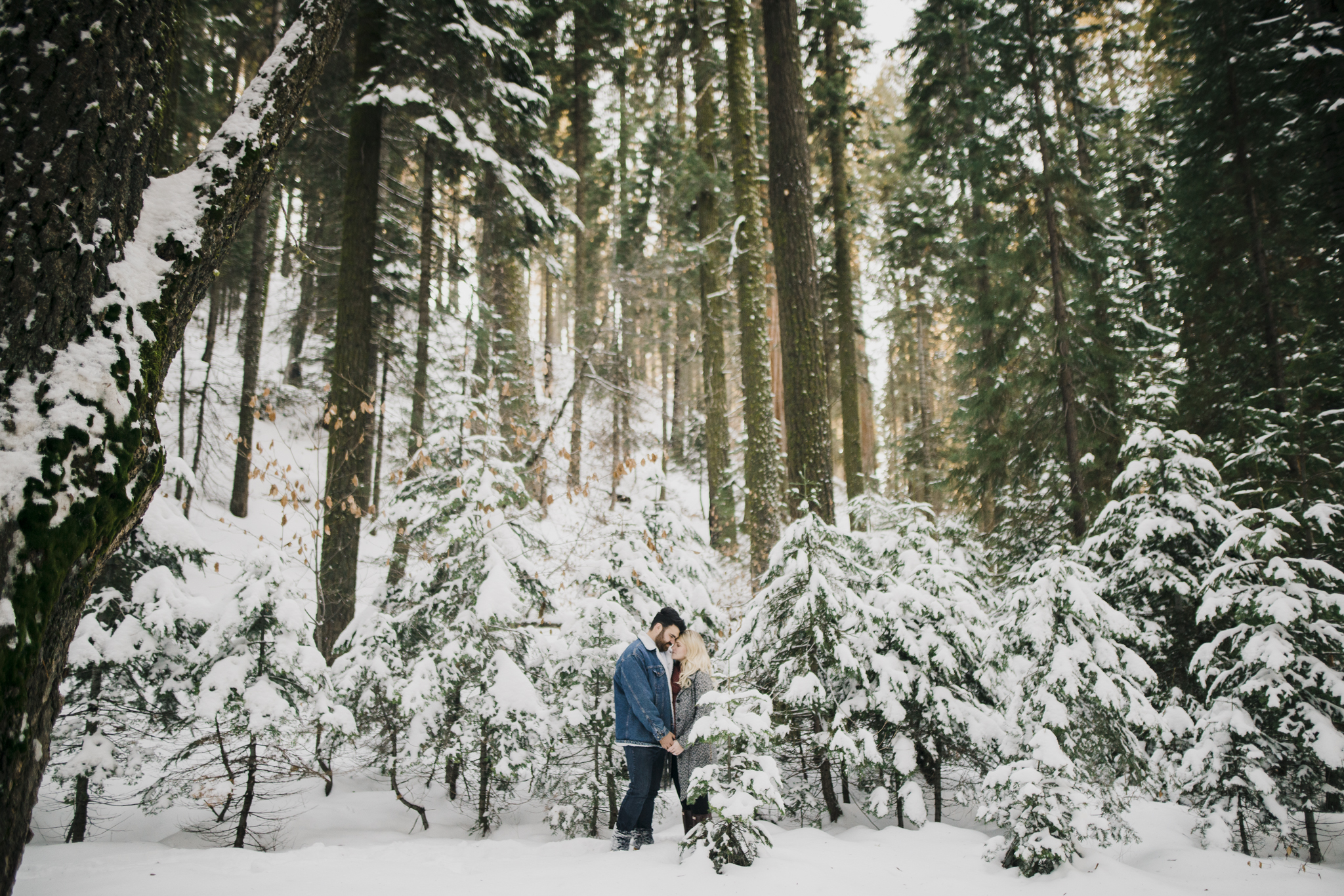 ©Isaiah-&-Taylor-Photography---George-&-Alyssa-Engagement---Sequoia-National-Park,-California-67.jpg