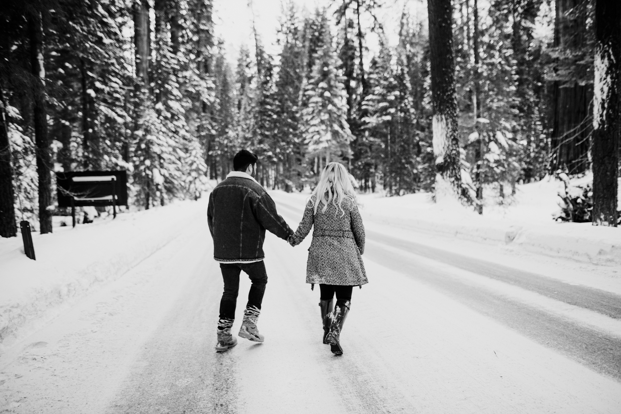 ©Isaiah-&-Taylor-Photography---George-&-Alyssa-Engagement---Sequoia-National-Park,-California-75.jpg