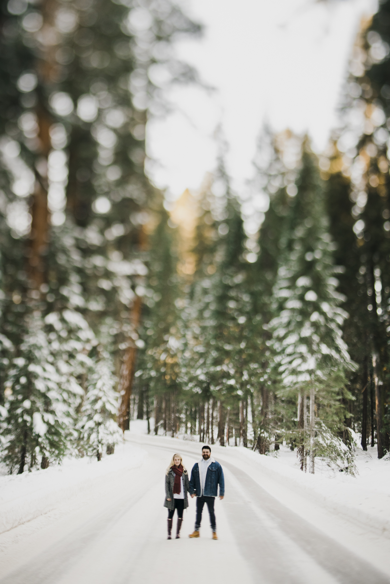 ©Isaiah-&-Taylor-Photography---George-&-Alyssa-Engagement---Sequoia-National-Park,-California-78.jpg