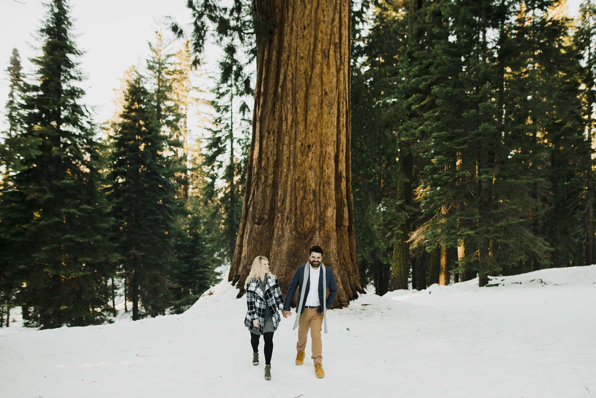 ©Isaiah-&-Taylor-Photography---George-&-Alyssa-Engagement---Sequoia-National-Park,-California-103.jpg