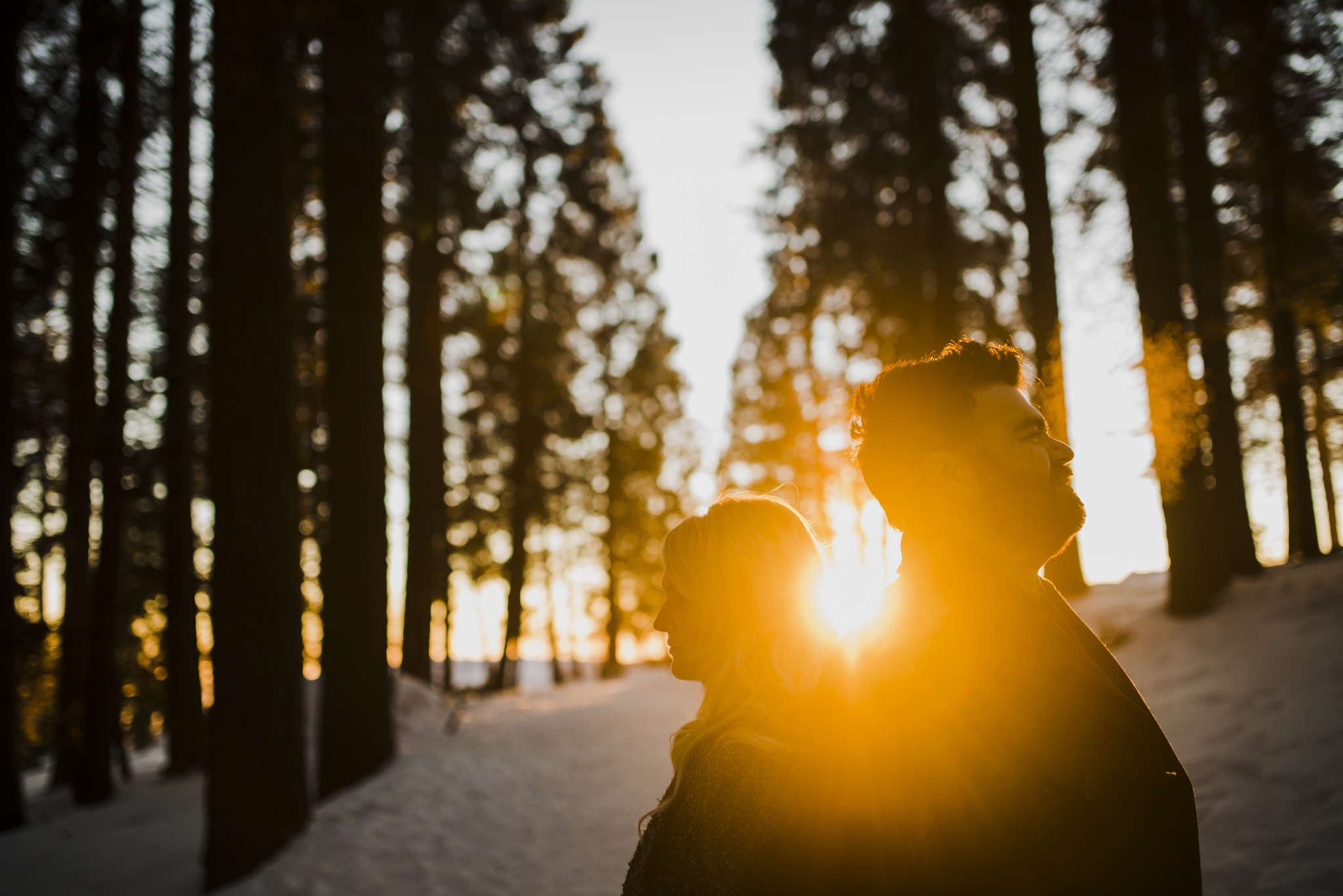 ©Isaiah-&-Taylor-Photography---George-&-Alyssa-Engagement---Sequoia-National-Park,-California-161.jpg