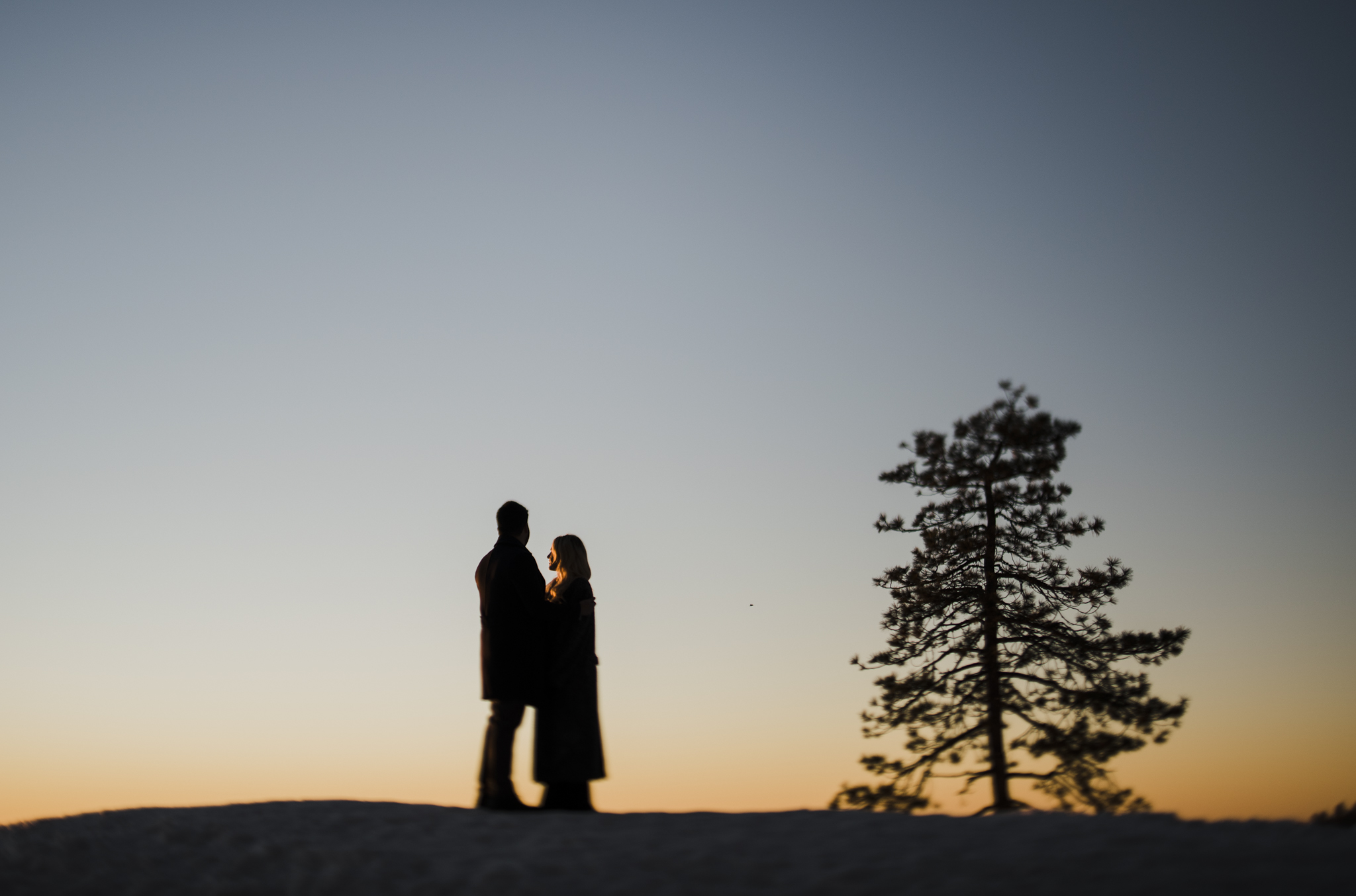 ©Isaiah-&-Taylor-Photography---George-&-Alyssa-Engagement---Sequoia-National-Park,-California-168.jpg