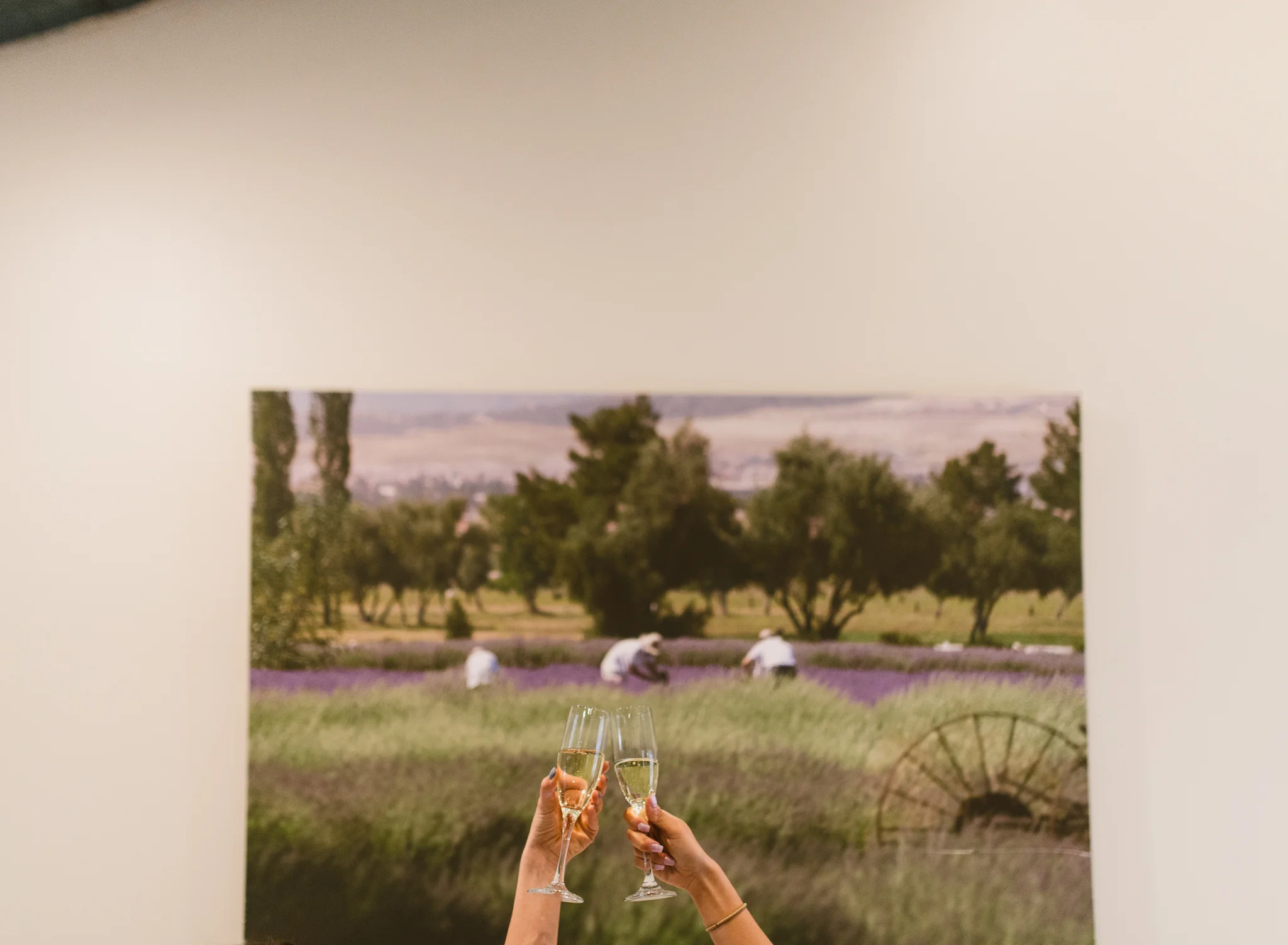 ©Isaiah-&-Taylor-Photography---Highland-Springs-Resort-Wedding,-Cherry-Valley-013.jpg