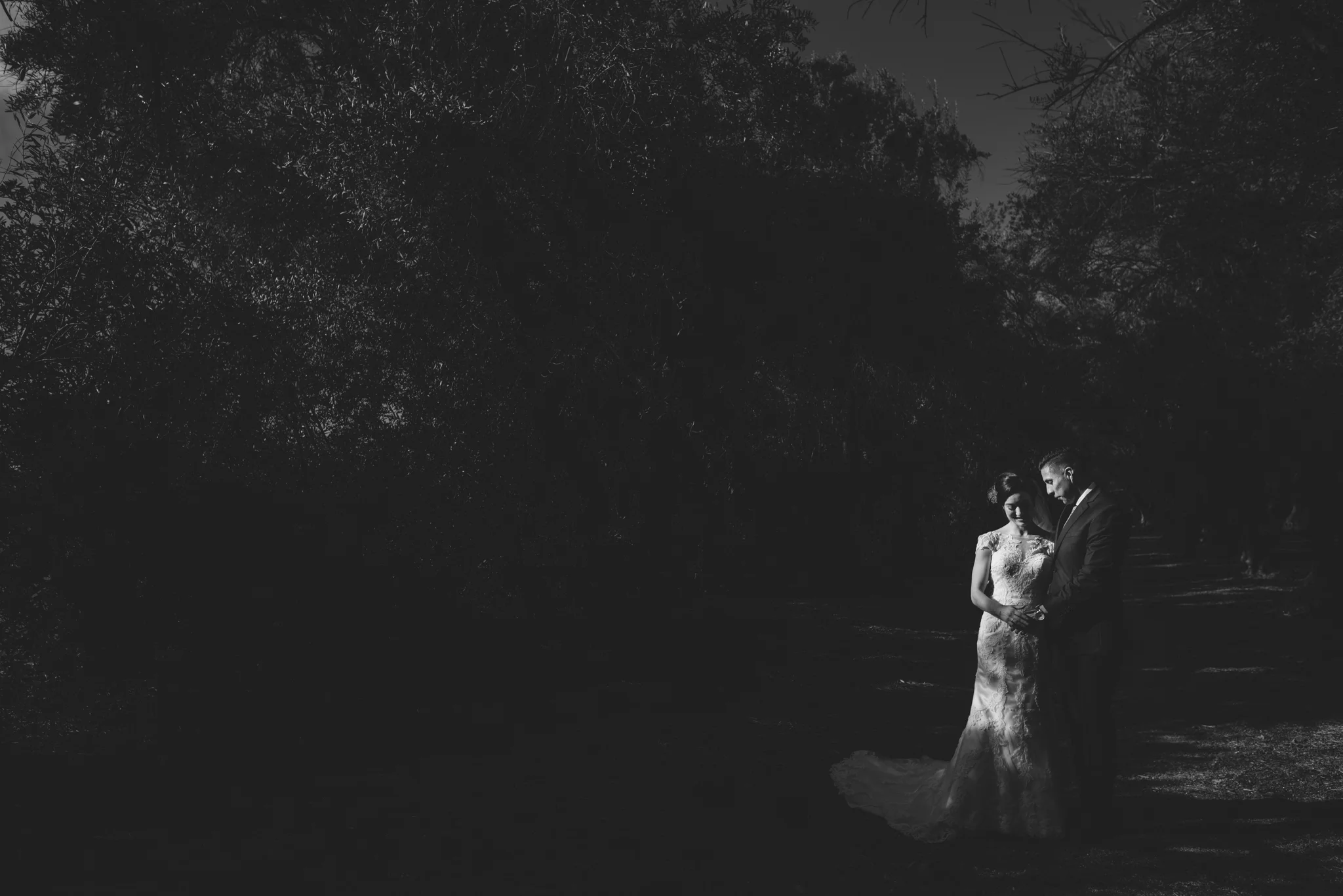 ©Isaiah-&-Taylor-Photography---Highland-Springs-Resort-Wedding,-Cherry-Valley-062.jpg