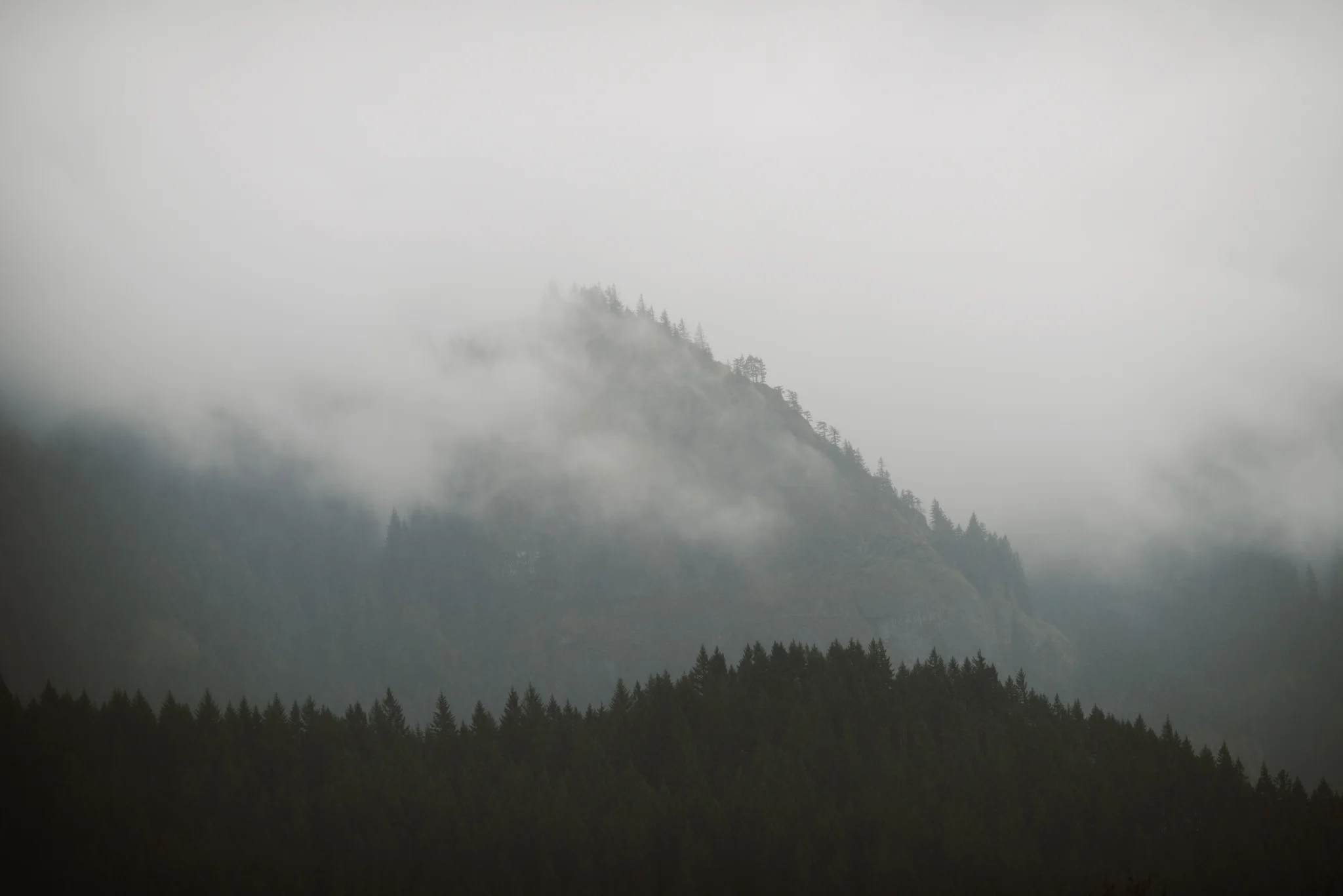 ©Isaiah-&-Taylor-Photography---Columbia-River-Gorge-Engagement,-Portland-Oregon-Wedding-Photographer-002.jpg