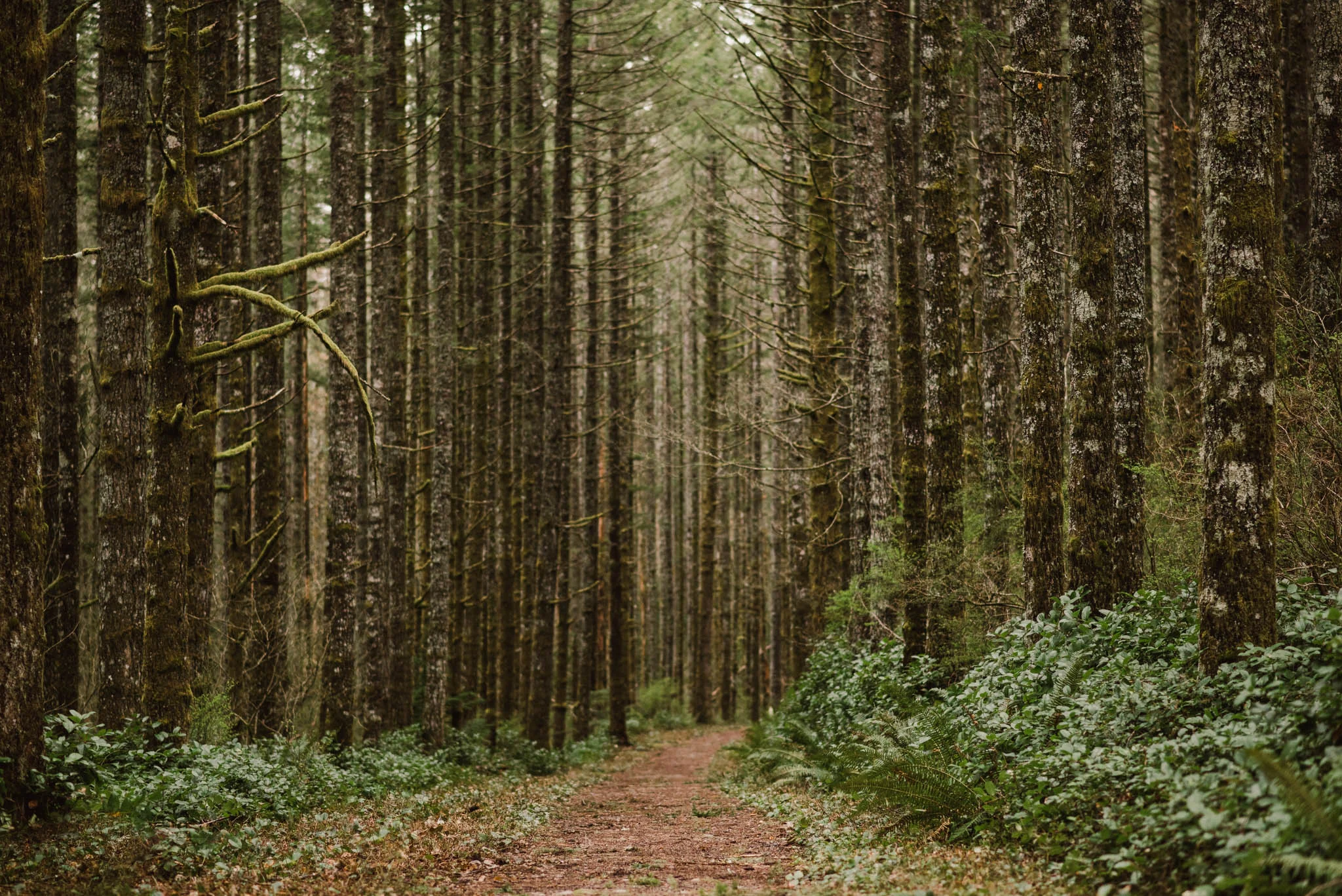 ©Isaiah-&-Taylor-Photography---Rattlesnake-Ledge-Trail-Engagement,-Seattle-Washington-002.jpg