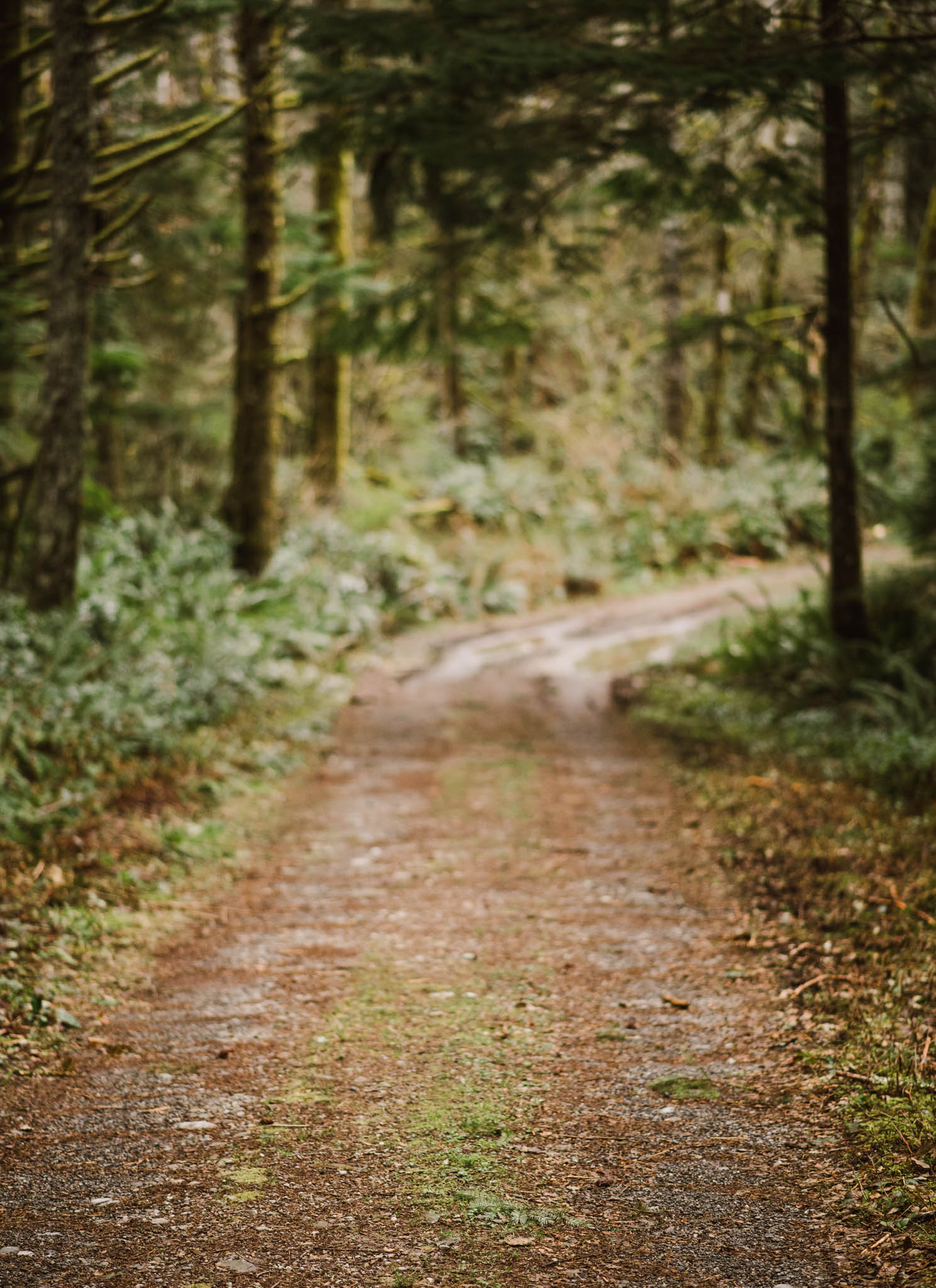 ©Isaiah-&-Taylor-Photography---Rattlesnake-Ledge-Trail-Engagement,-Seattle-Washington-013.jpg