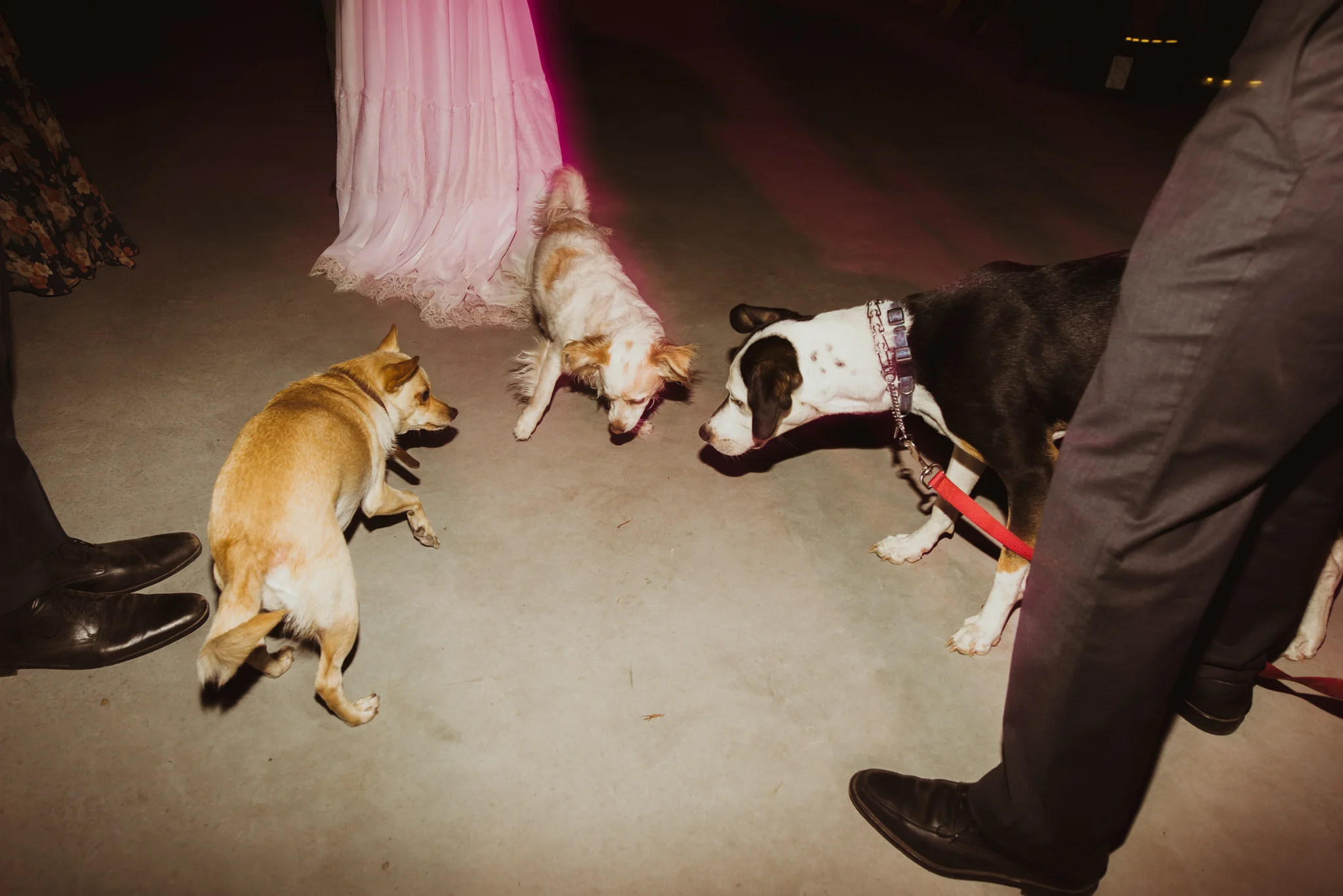 ©Isaiah & Taylor Photography - The Hideout, Kirkwood CA wedding -19.jpg