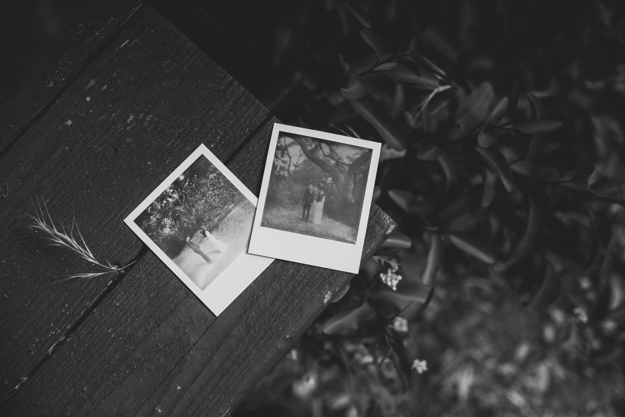©Isaiah-&-Taylor-Photography---Oak-Canyon-Nature-Center-Wedding,-Anaheim-Hills-034.jpg