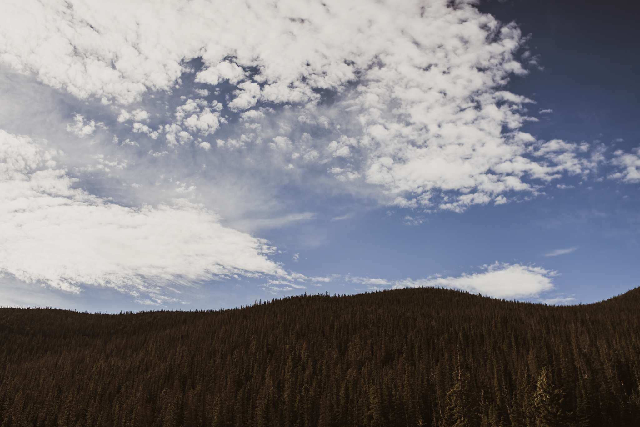 ©Isaiah + Taylor Photography - Estes National Park Adventure Elopement, Colorado Rockies-02.jpg