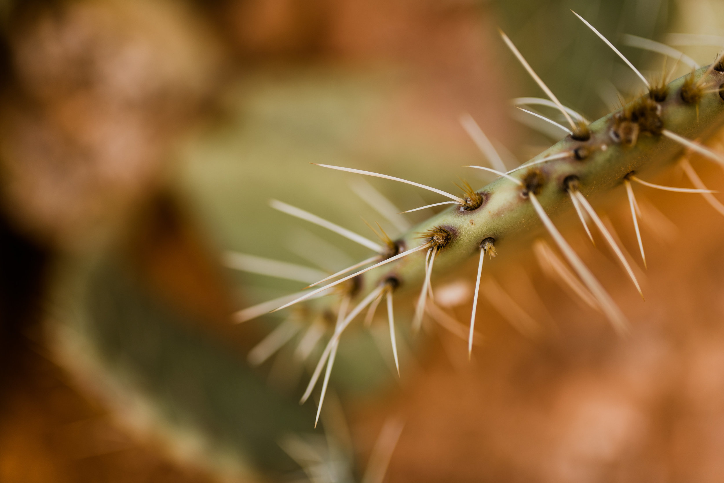 Isaiah-&-Taylor-Photography---Paul-&-Karen-Engagement,-Sedona-Arizona-004.jpg