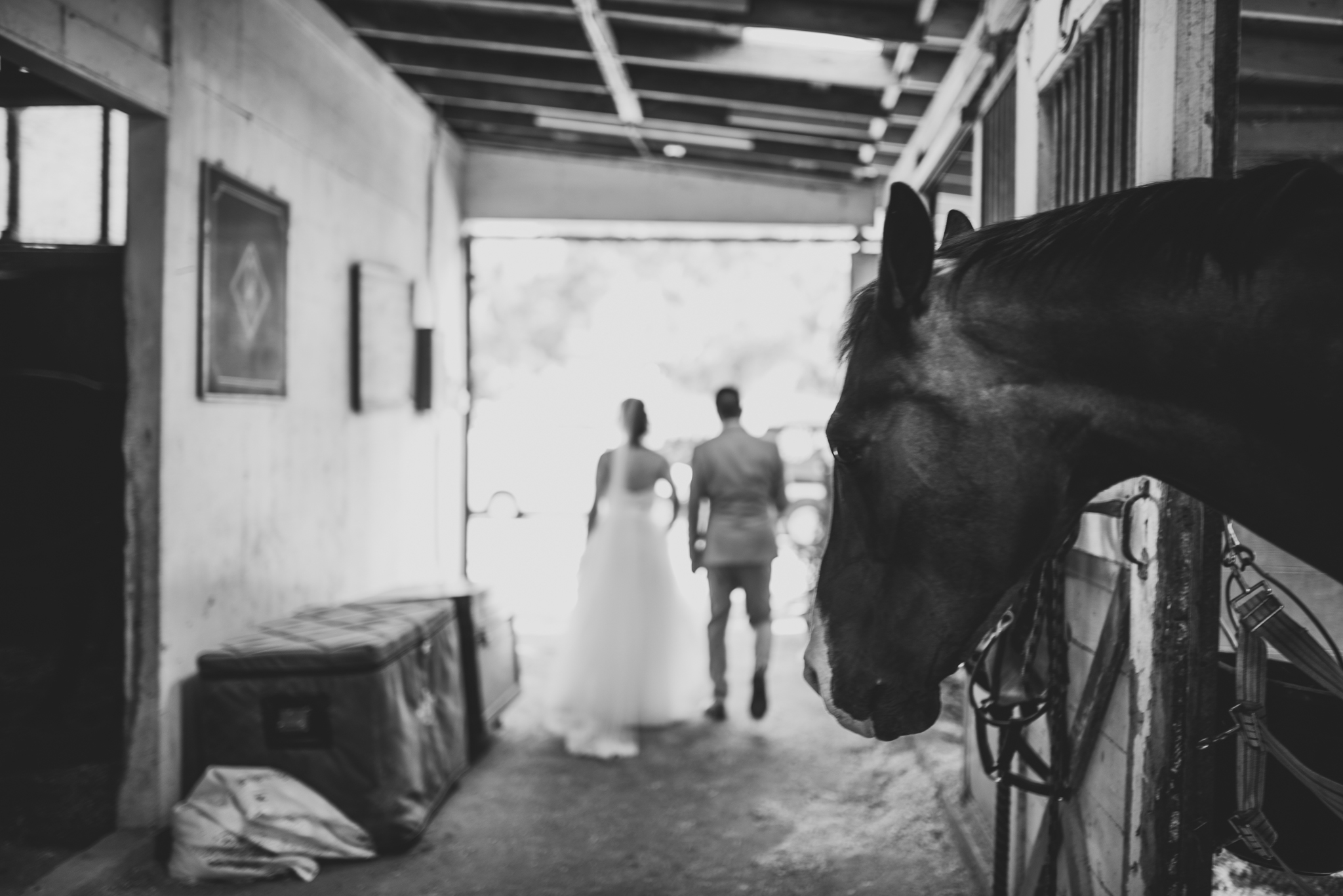 ©Isaiah + Taylor Photography - Brendan + Stefana, Quail Haven Farm Wedding, Vista-125.jpg
