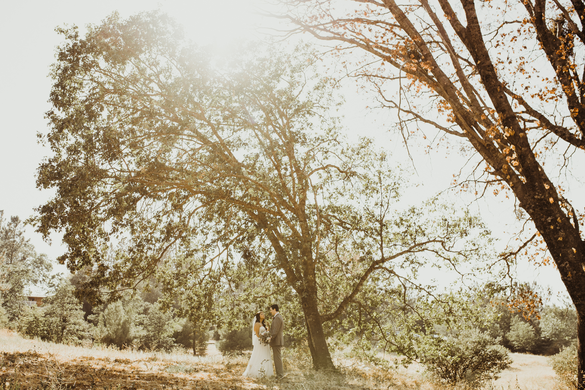 ©Isaiah + Taylor Photography - Sacred Mountain Ranch Wedding, Julian CA-119.jpg