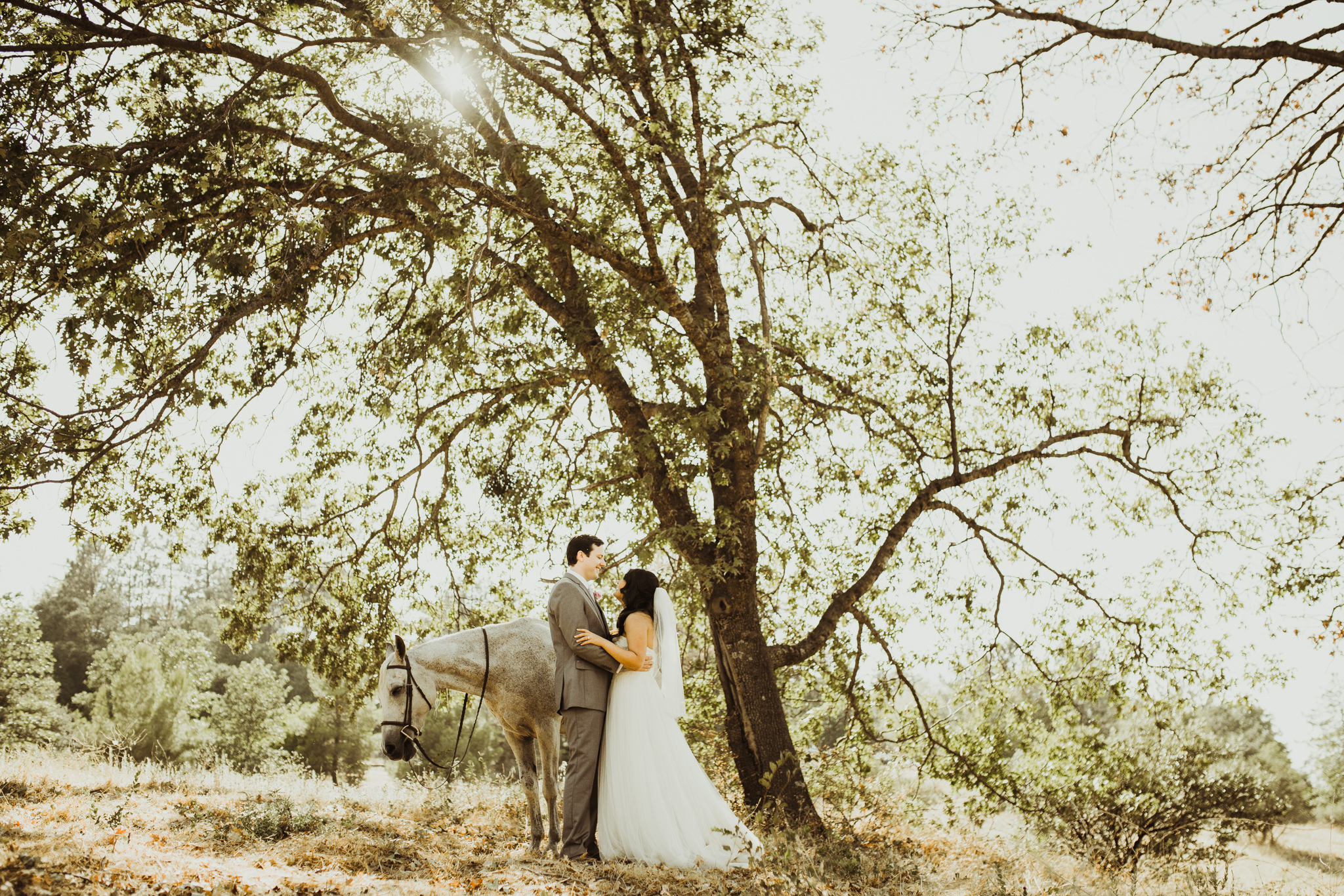 ©Isaiah + Taylor Photography - Sacred Mountain Ranch Wedding, Julian CA-120.jpg