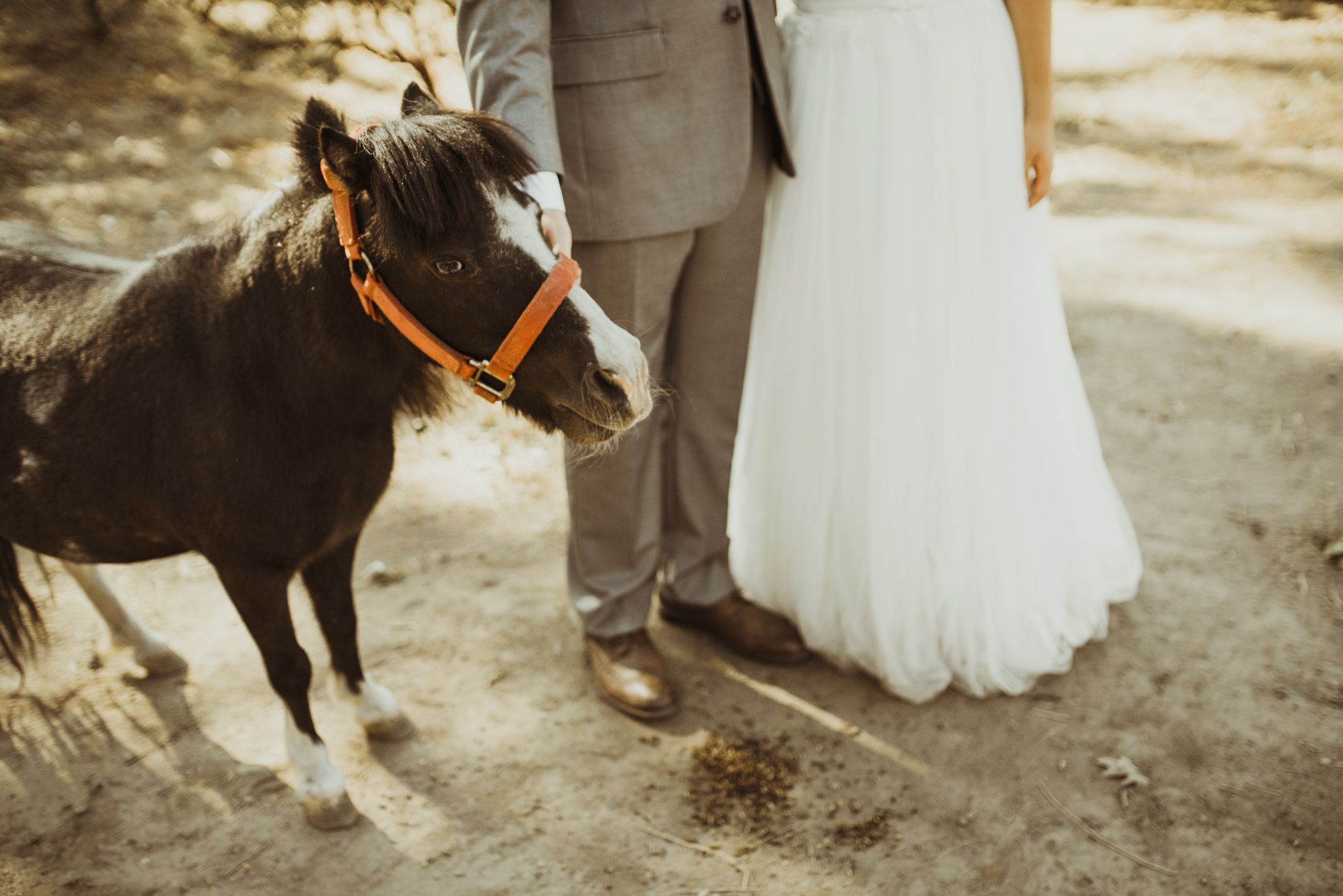 ©Isaiah + Taylor Photography - Sacred Mountain Ranch Wedding, Julian CA-126.jpg