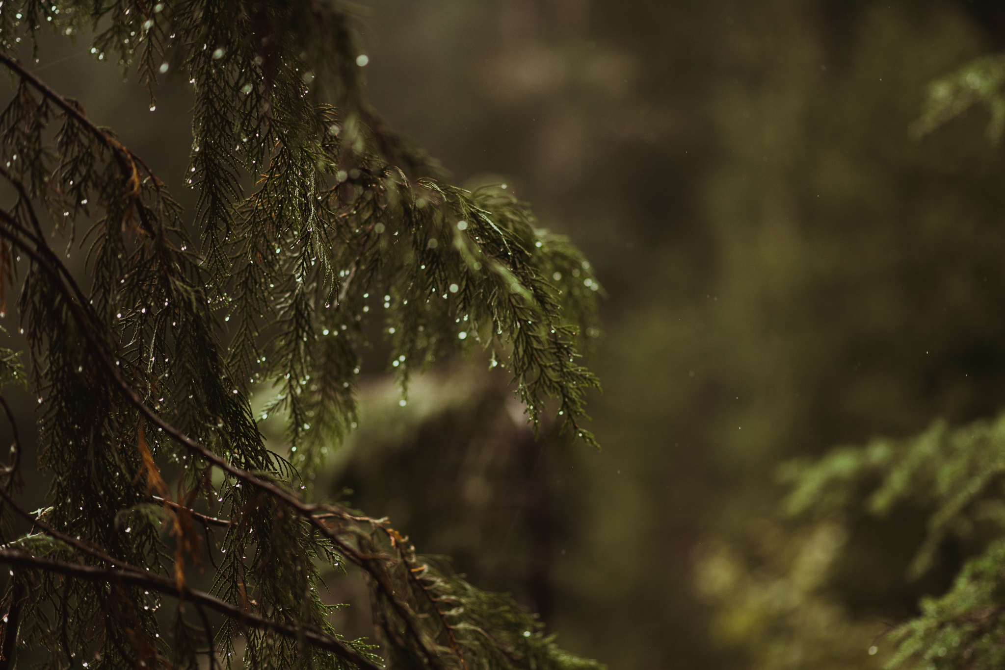 ©Isaiah-&-Taylor-Photography---Hidden-Lake-Cascade-Mountains-Engagement,-Washington-007.jpg