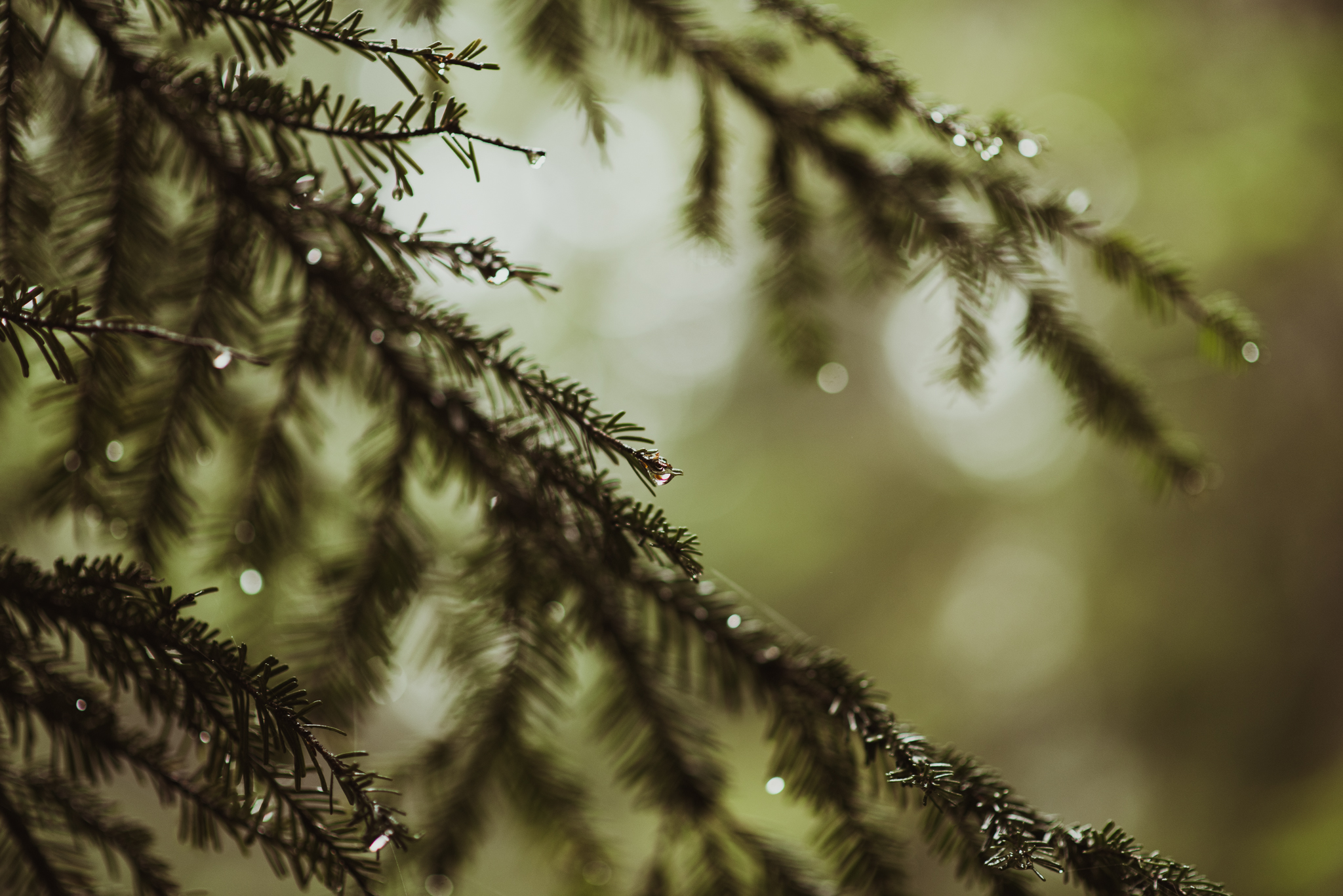 ©Isaiah-&-Taylor-Photography---Hidden-Lake-Cascade-Mountains-Engagement,-Washington-021.jpg