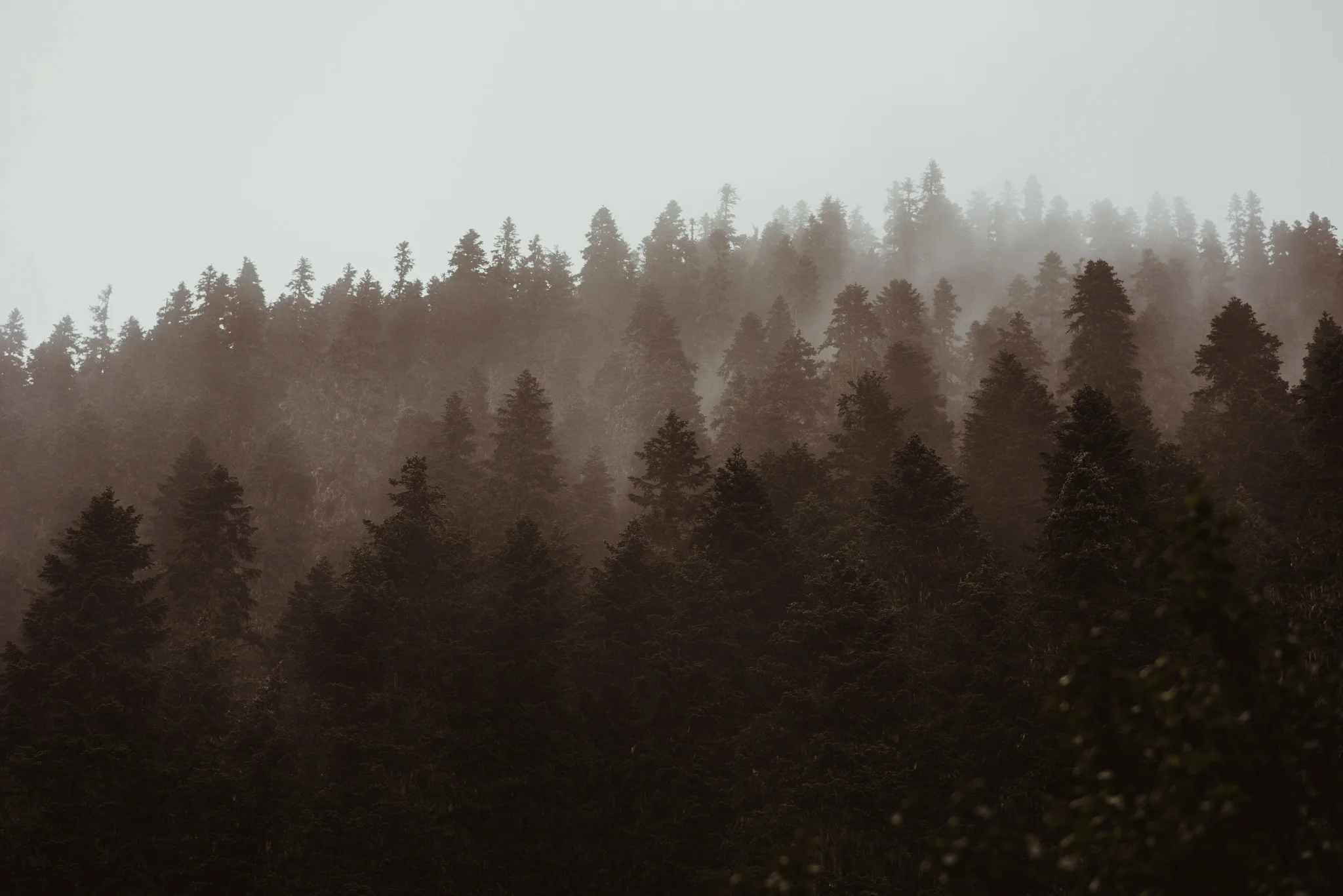 ©Isaiah-&-Taylor-Photography---Hidden-Lake-Cascade-Mountains-Engagement,-Washington-025.jpg