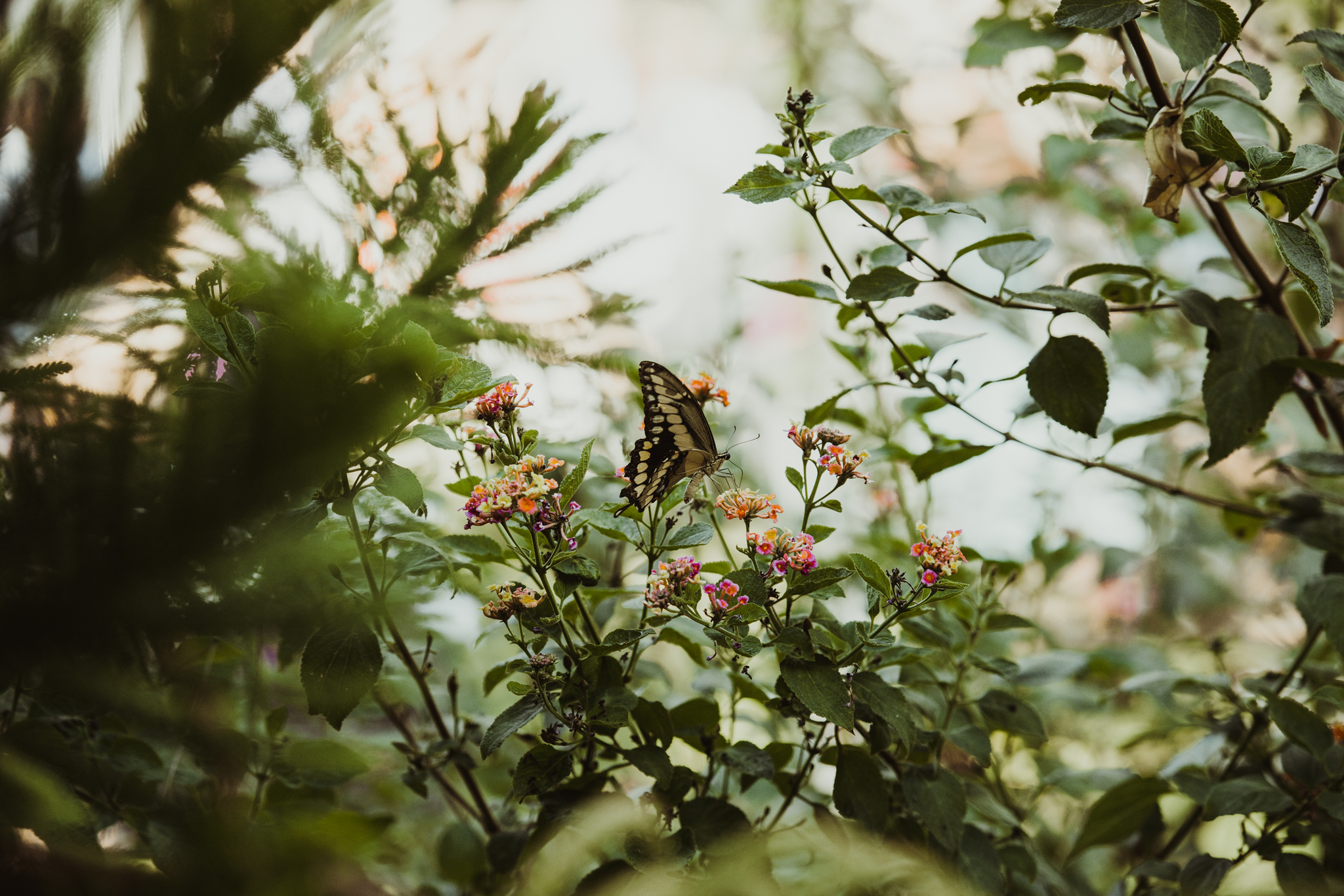 ©Isaiah + Taylor Photography - The French Esate Wedding, Orange California-0083.jpg