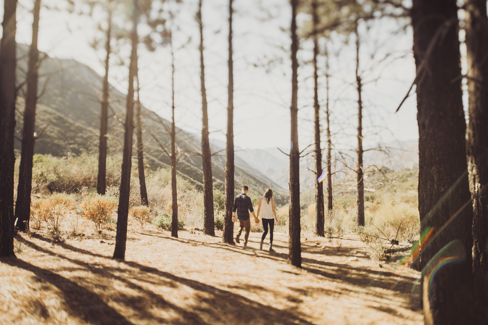 ©Isaiah + Taylor Photography - Los Angeles National Forest Engagement-0022.jpg