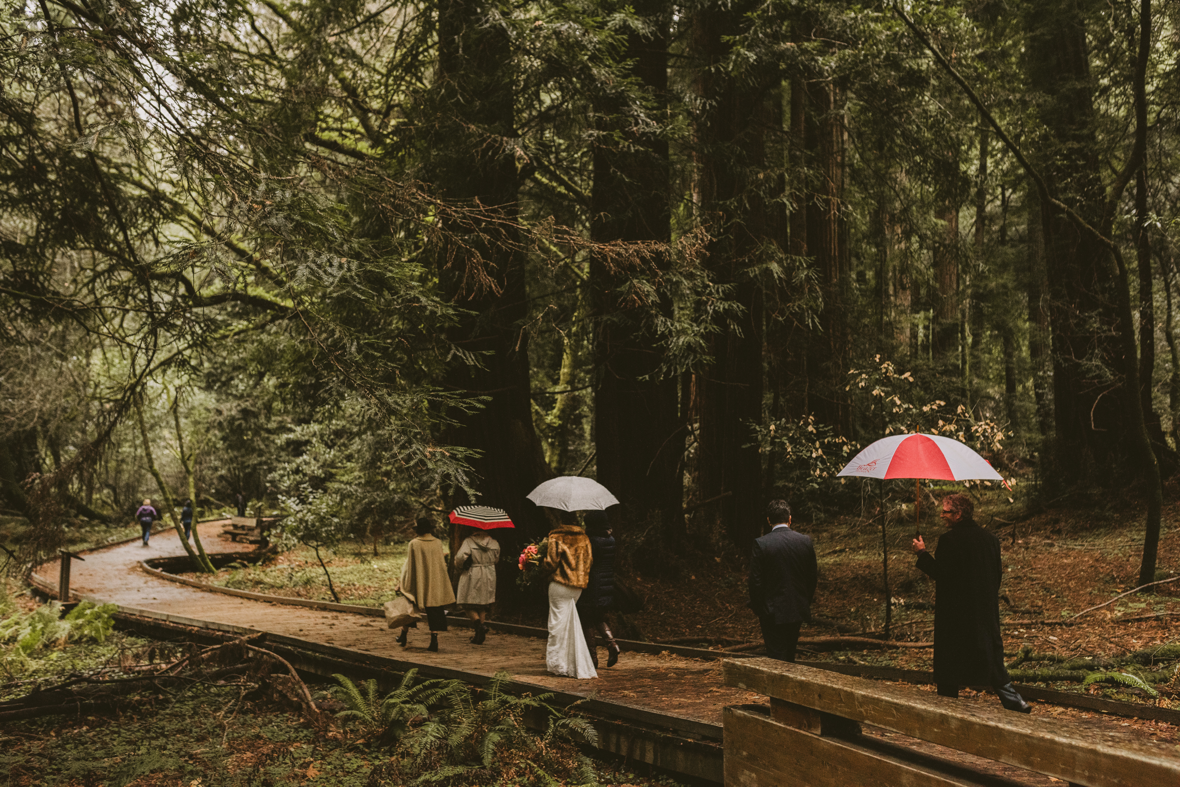 ©Isaiah + Taylor Photography - San Fransisco Elopement, Muir Woods-37.jpg