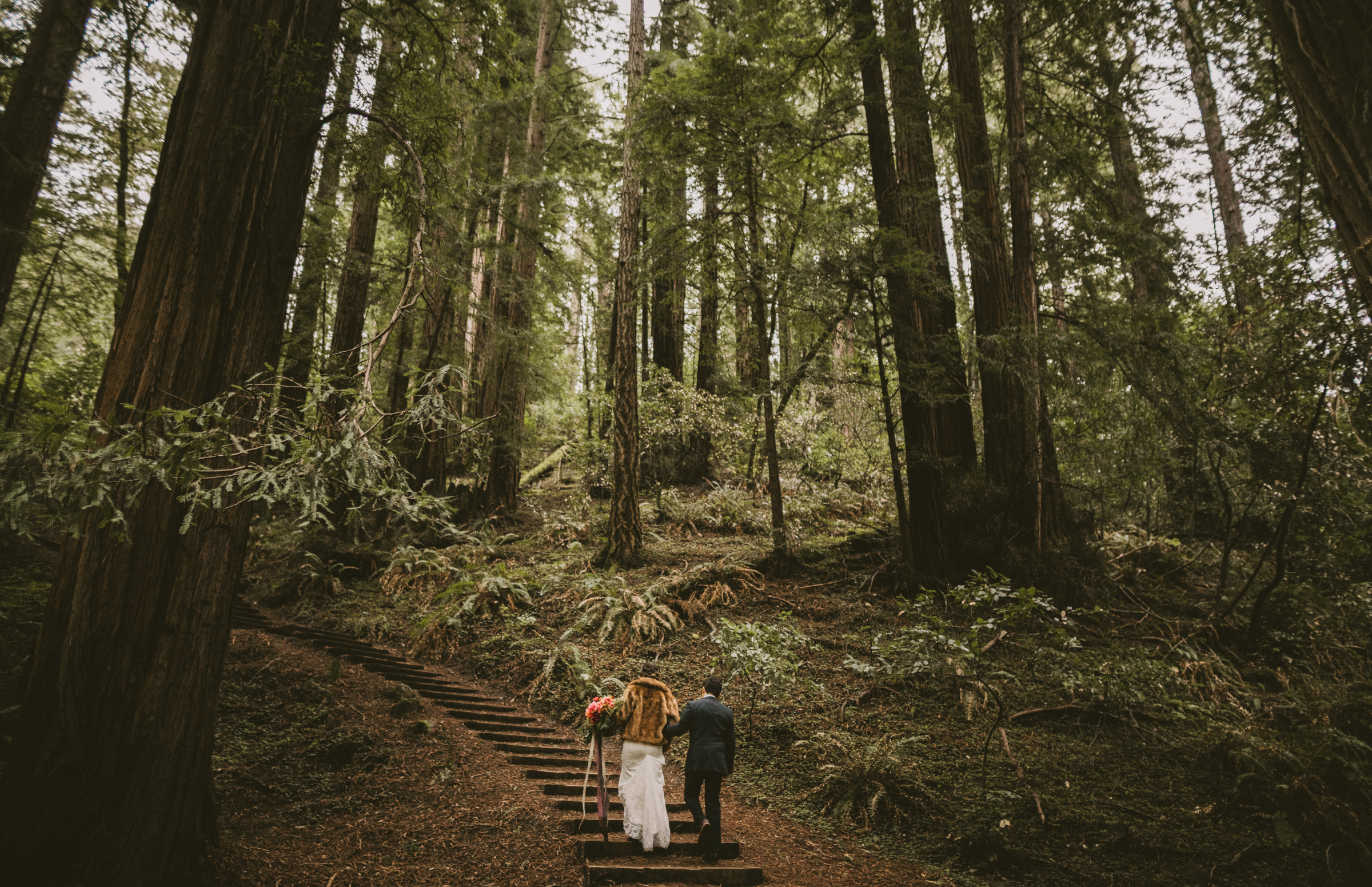 ©Isaiah + Taylor Photography - San Fransisco Elopement, Muir Woods-40.jpg