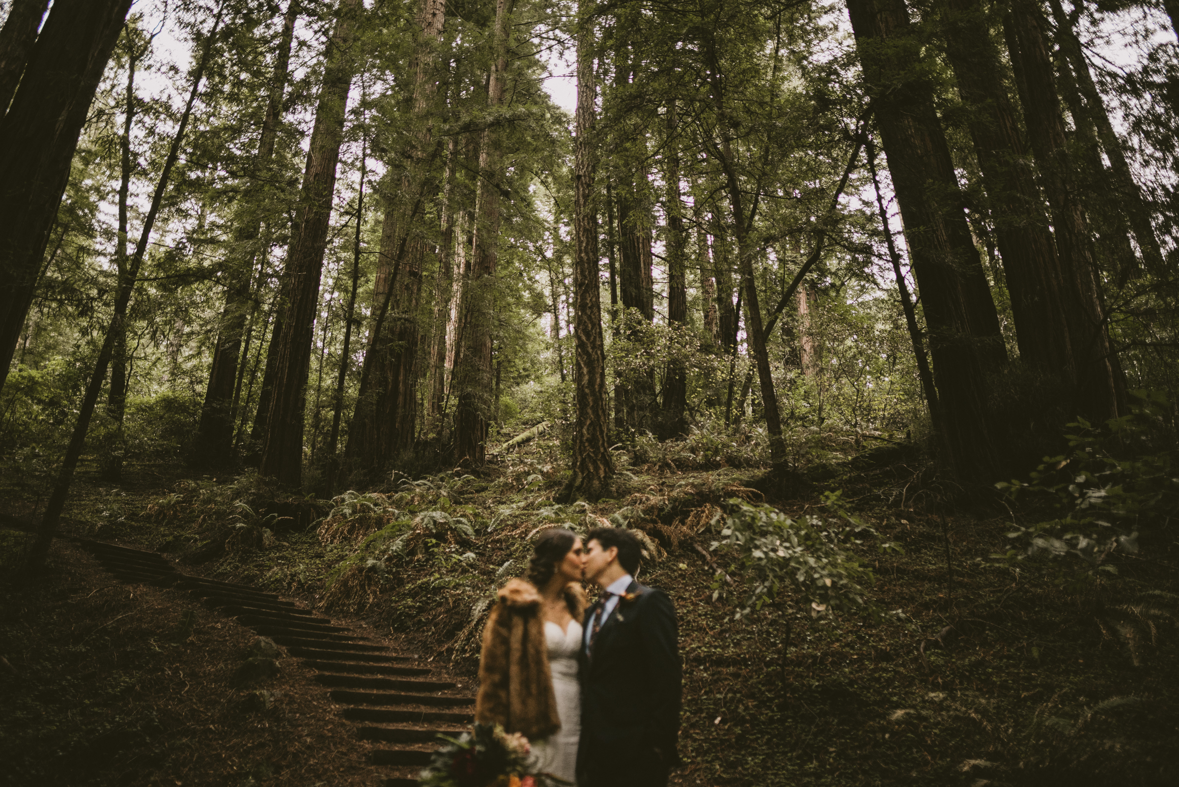 ©Isaiah + Taylor Photography - San Fransisco Elopement, Muir Woods-43.jpg