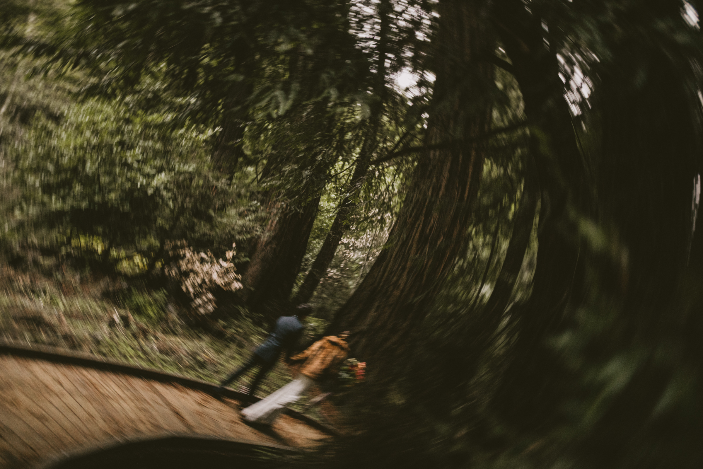 ©Isaiah + Taylor Photography - San Fransisco Elopement, Muir Woods-75.jpg