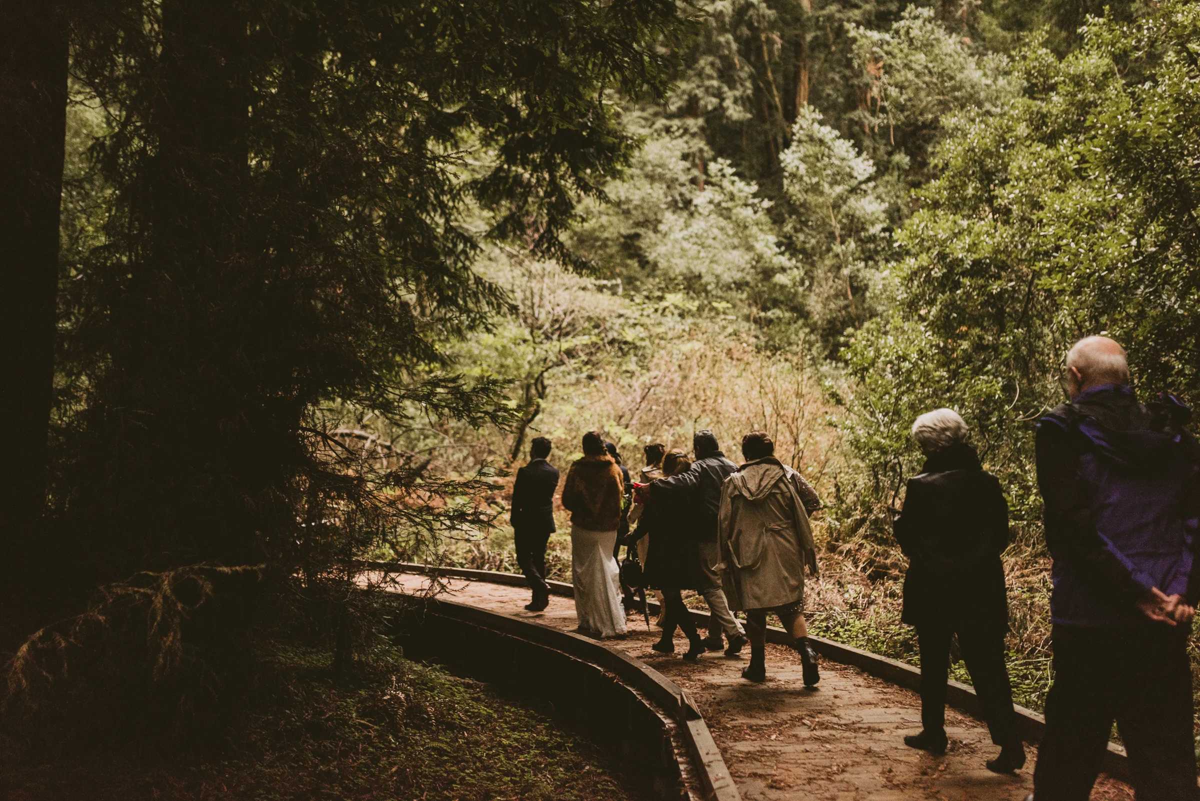 ©Isaiah + Taylor Photography - San Fransisco Elopement, Muir Woods-74.jpg